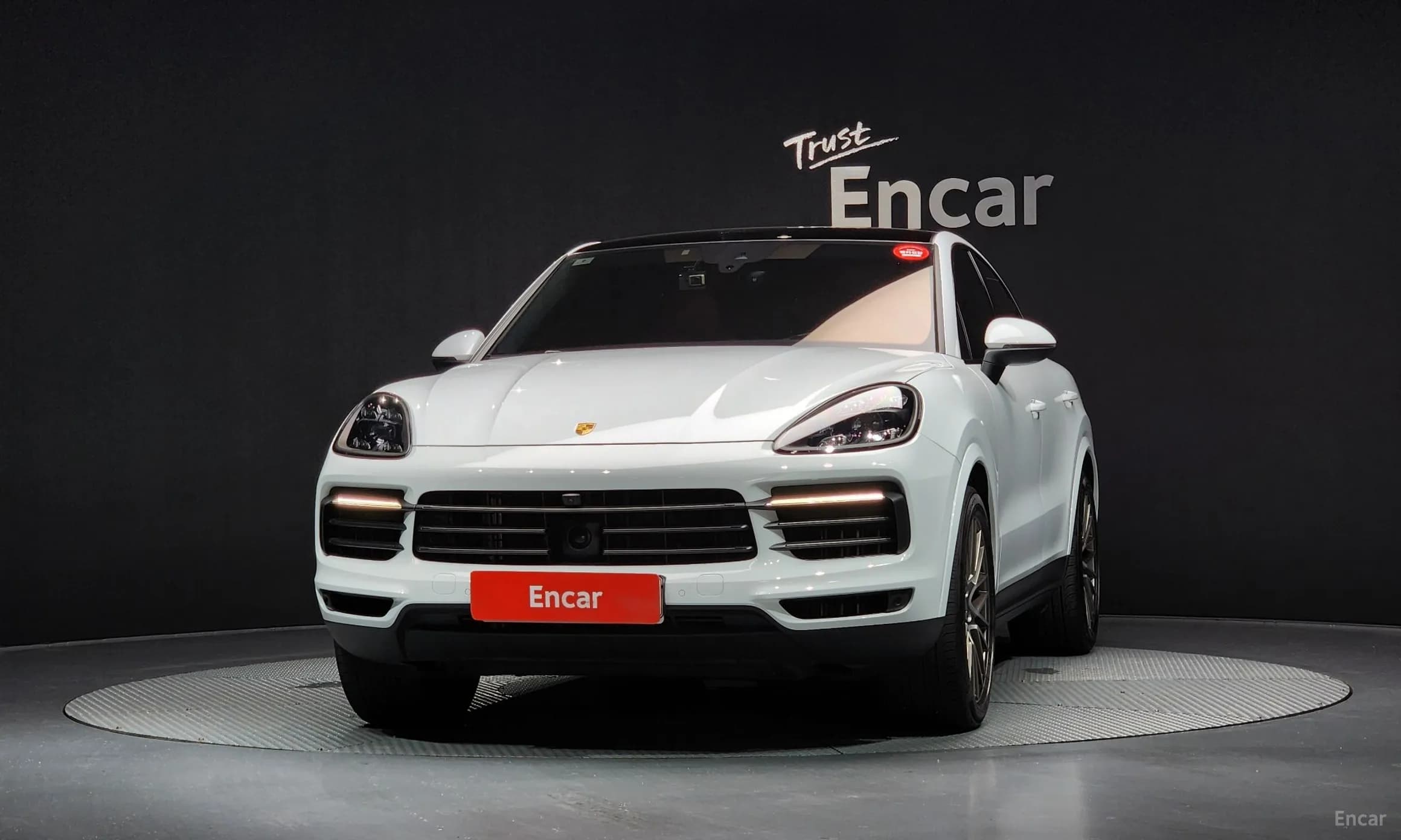 Cayenne (PO536)