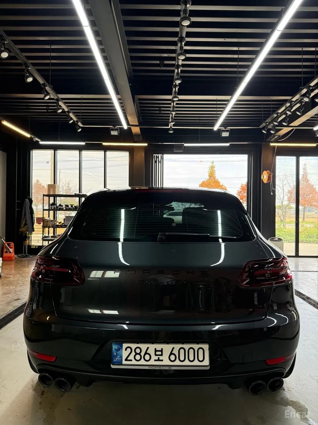 Macan