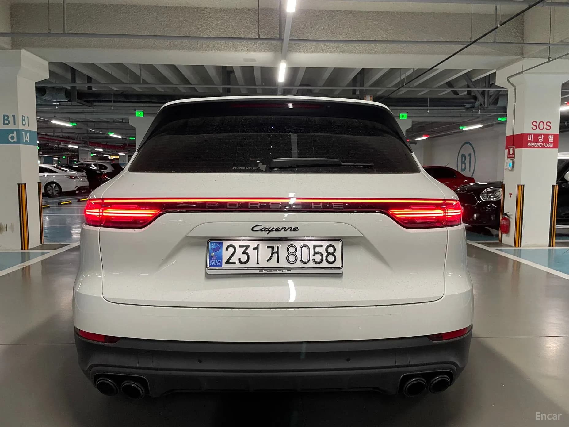 Cayenne (PO536)