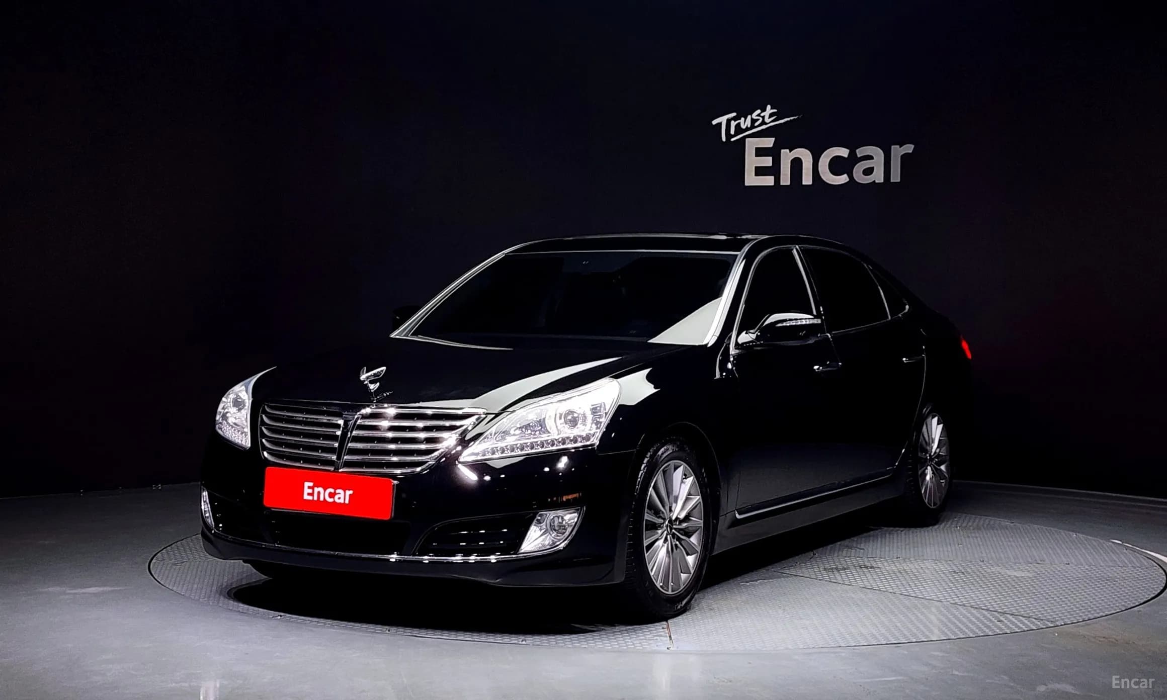 Equus (new)