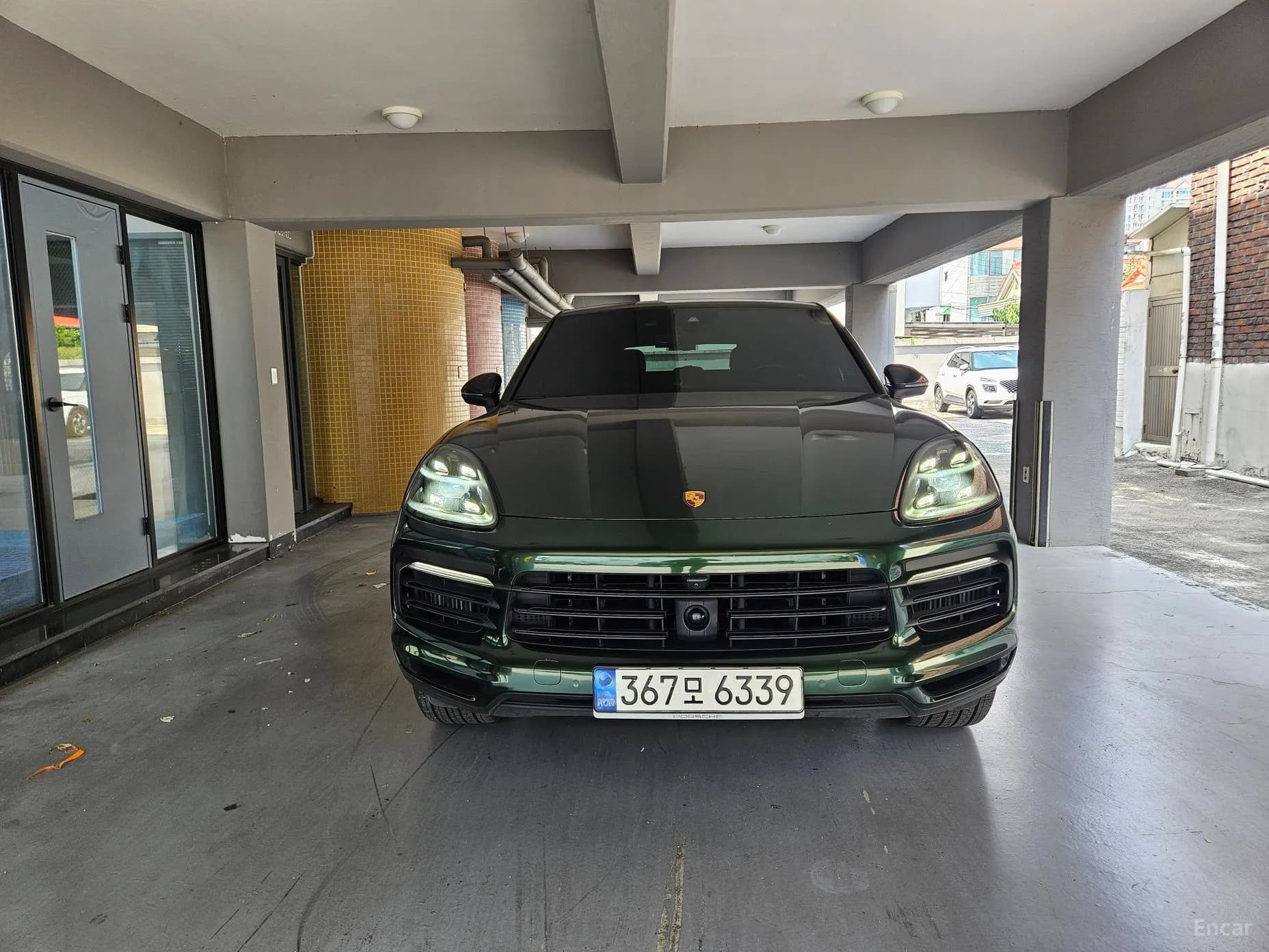 Cayenne (PO536)