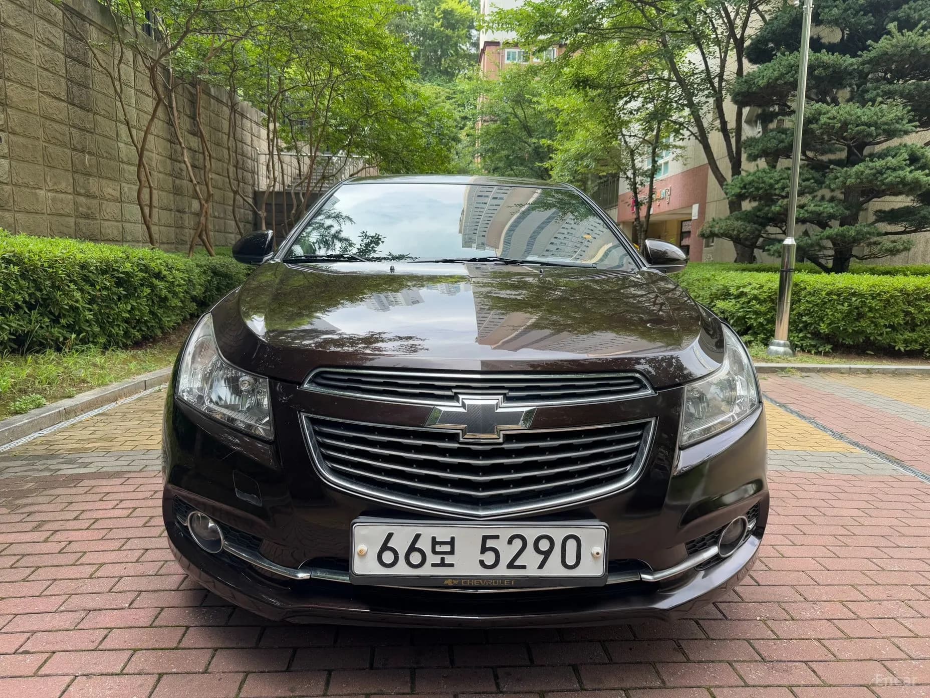 Cruze