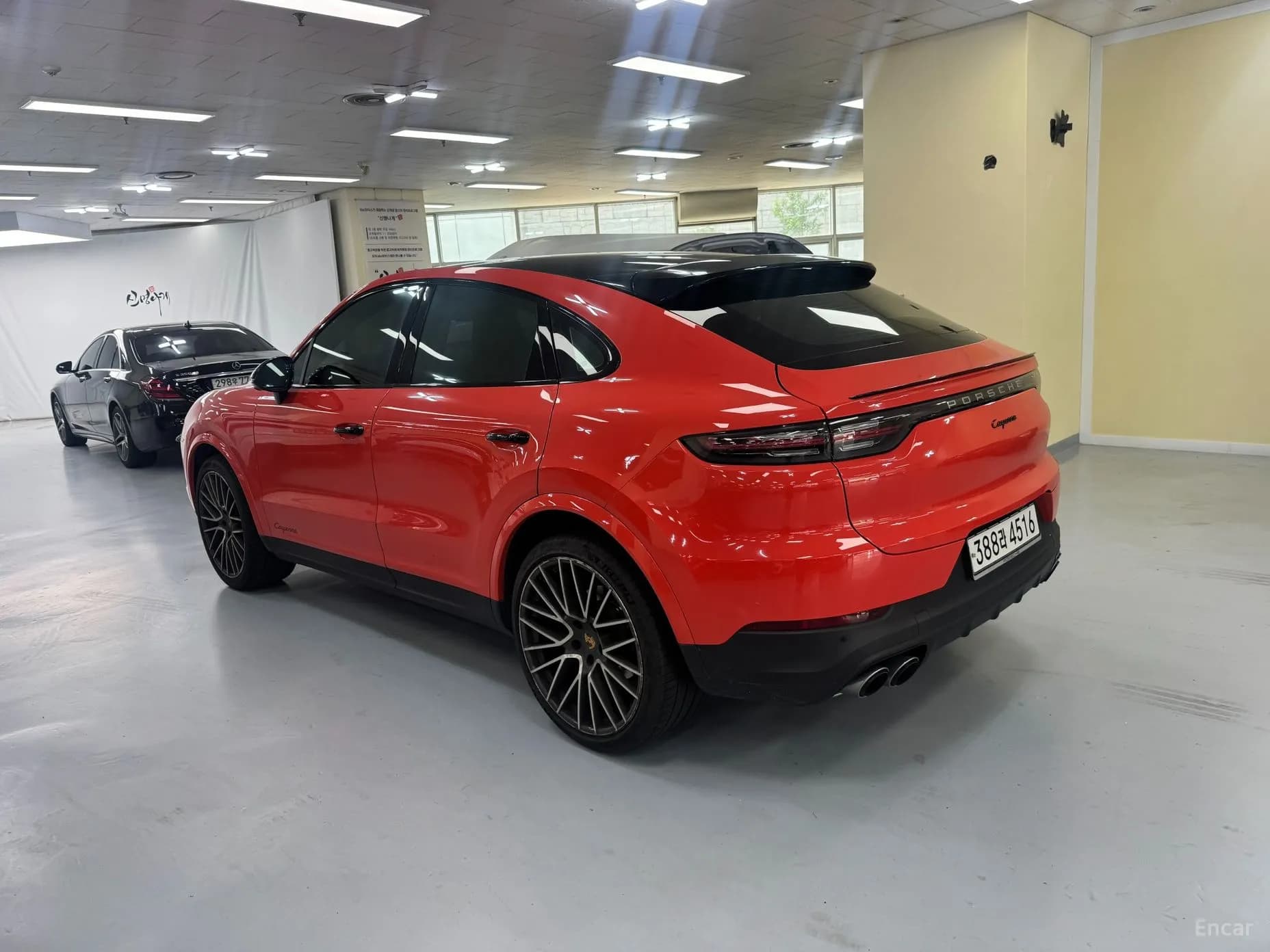 Cayenne (PO536)