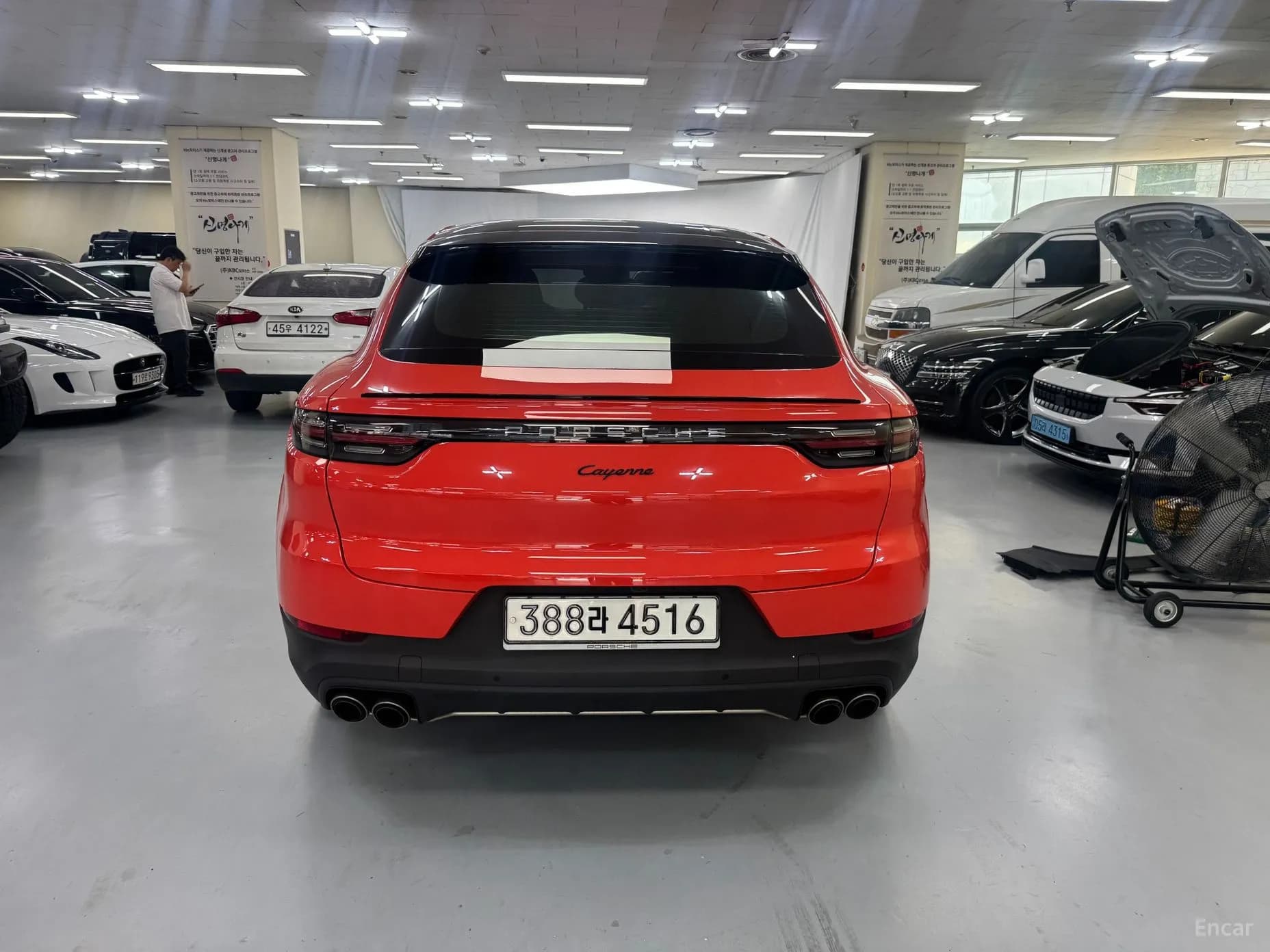 Cayenne (PO536)