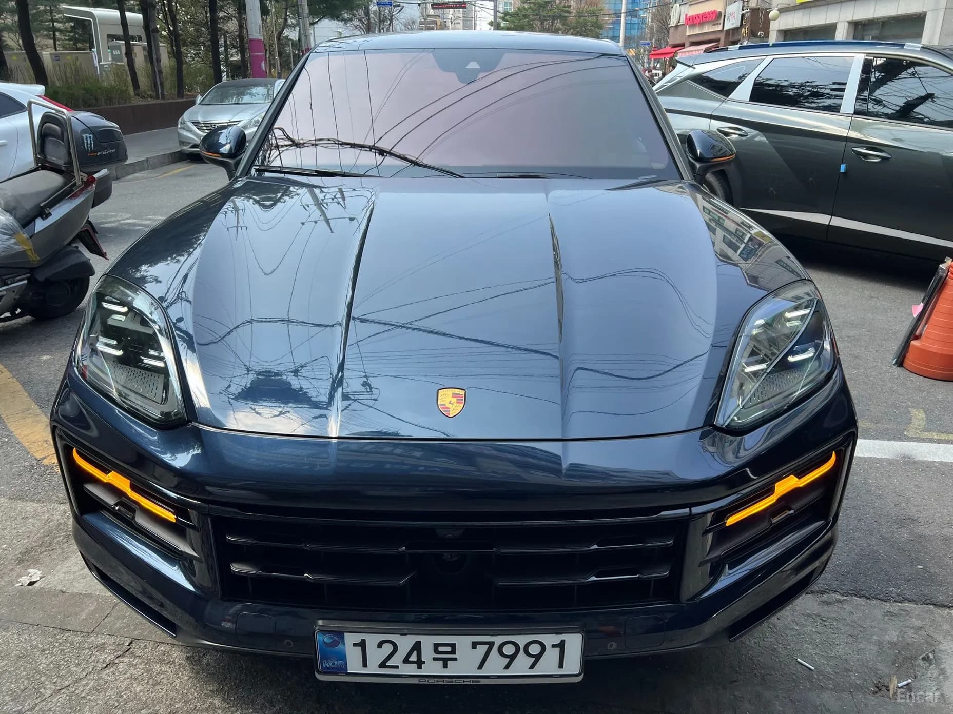 Cayenne (PO536)
