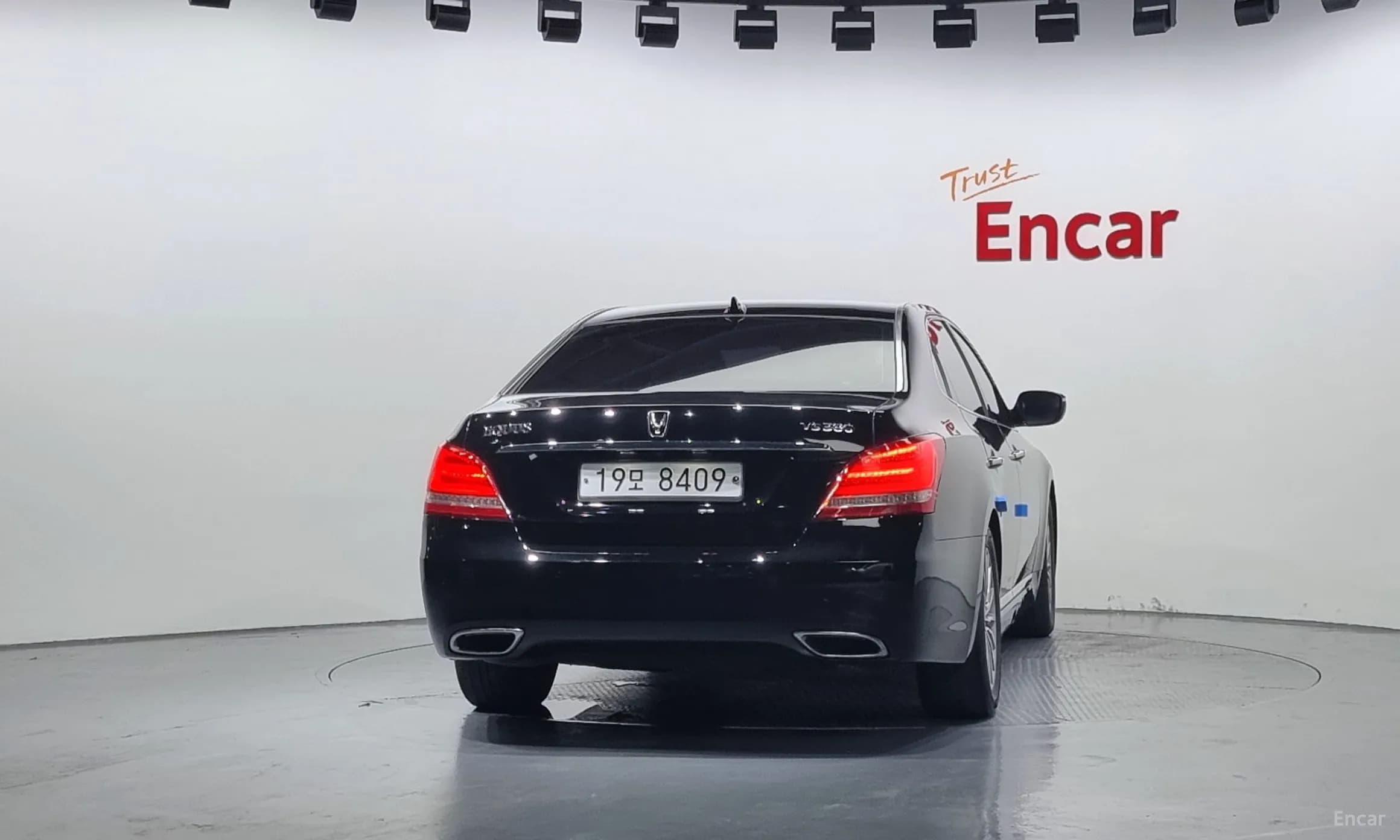 Equus (new)