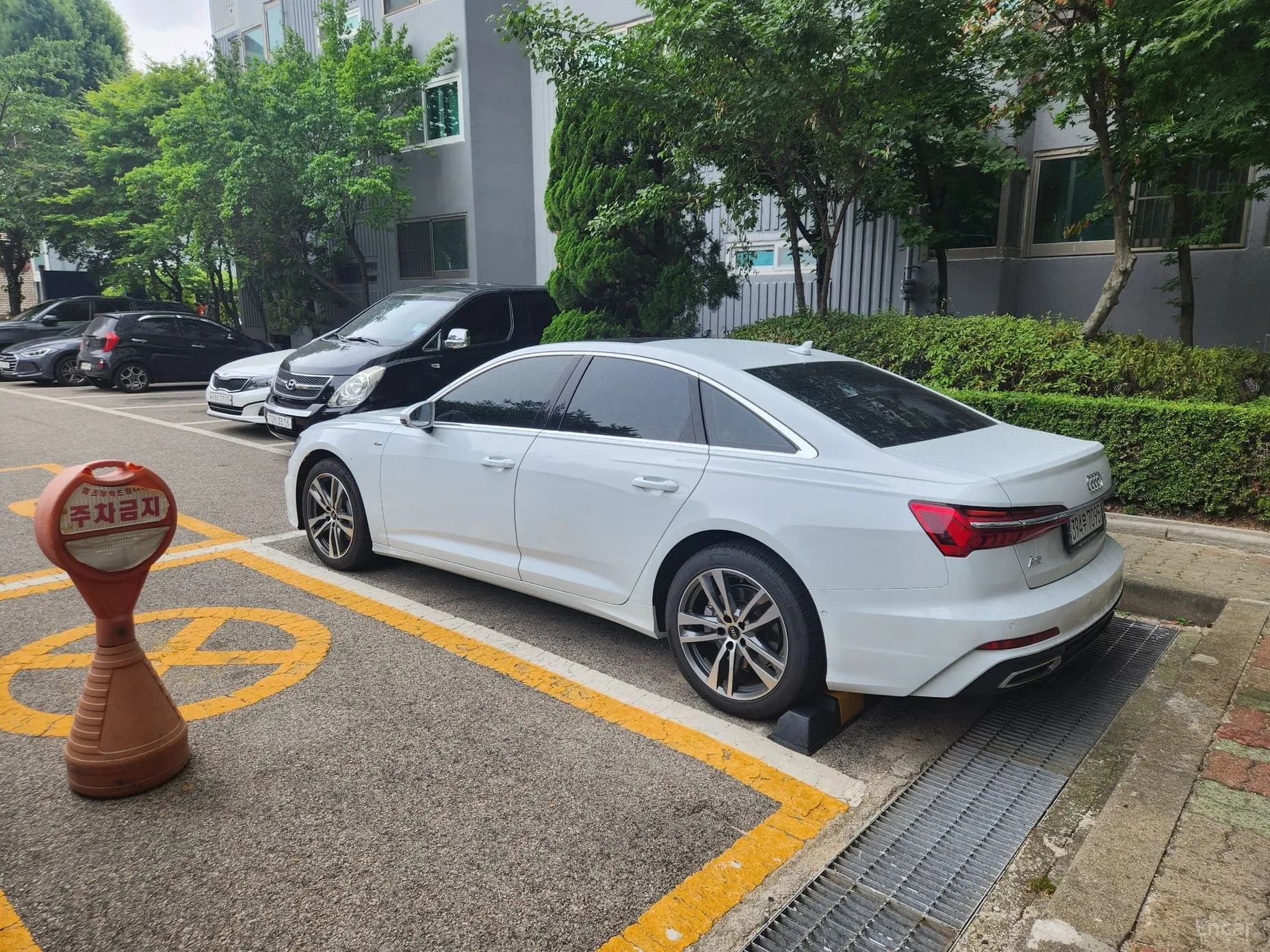 A6 (C8)