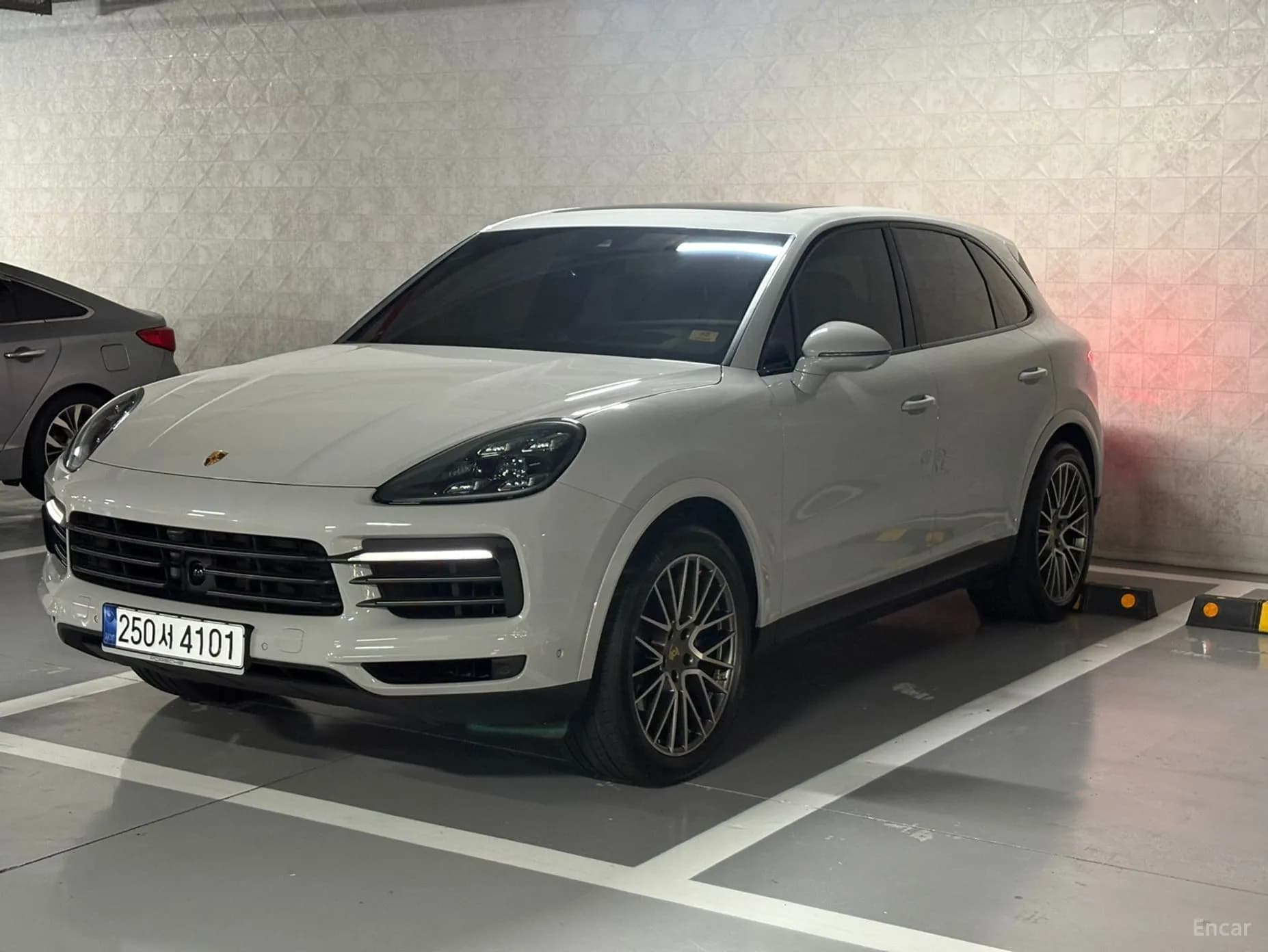 Cayenne (PO536)