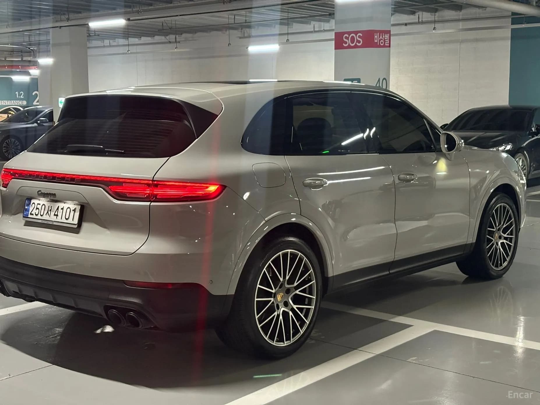 Cayenne (PO536)