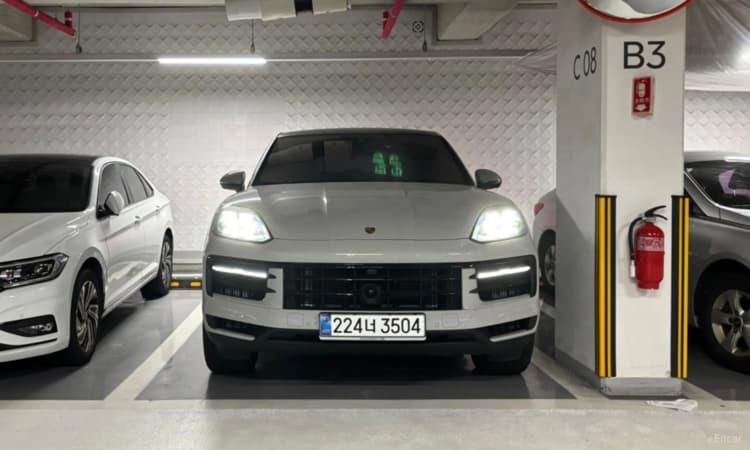 Cayenne (PO536)