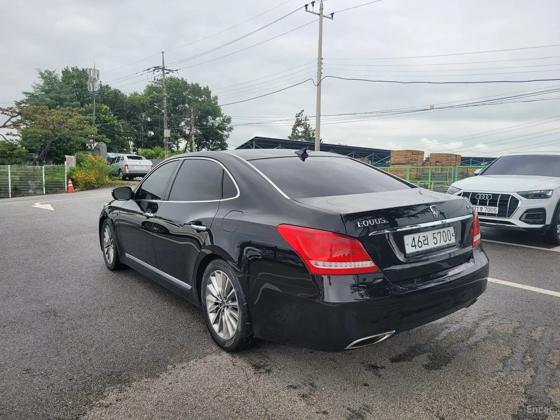 Equus (new)