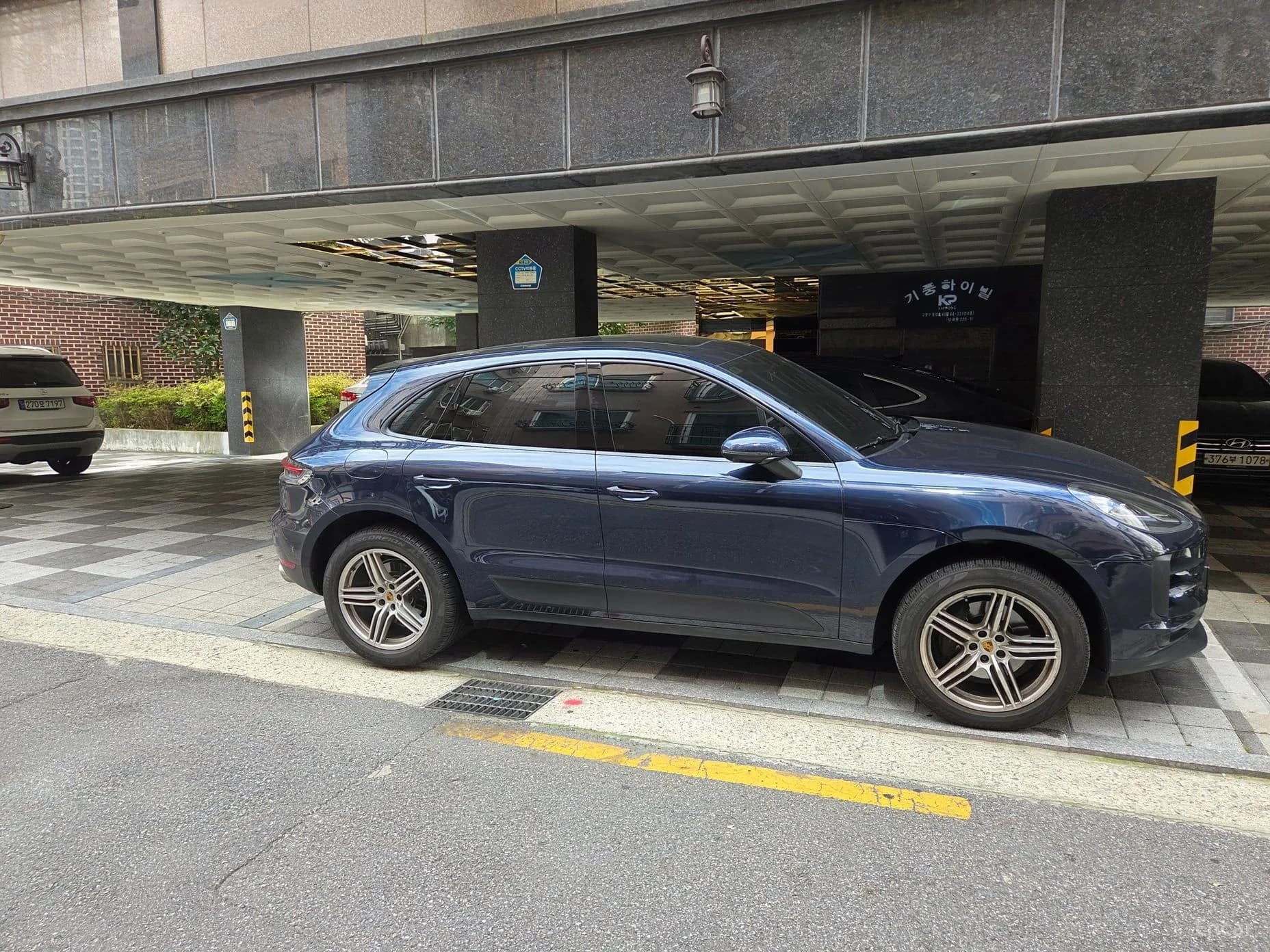 Macan