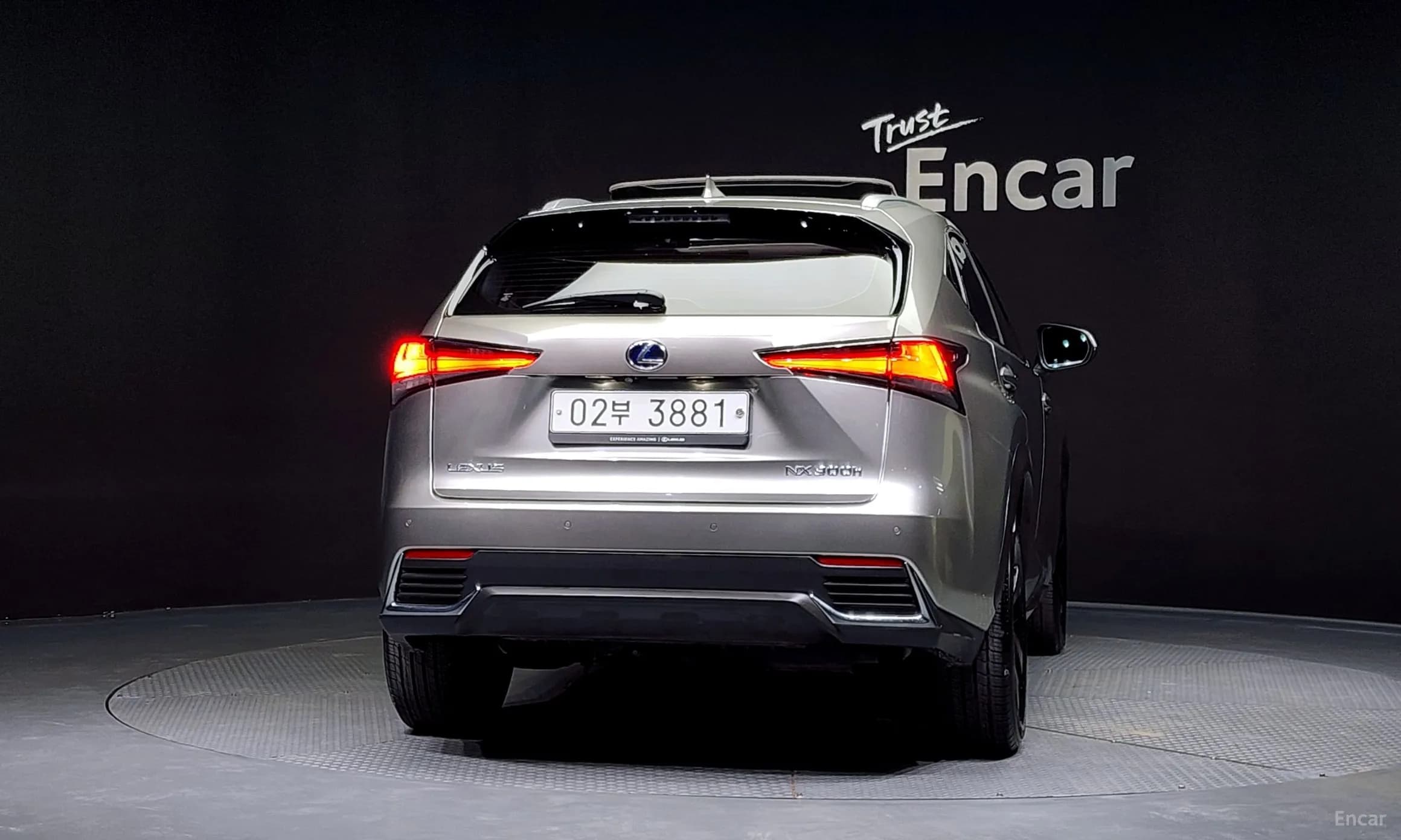 NX300h