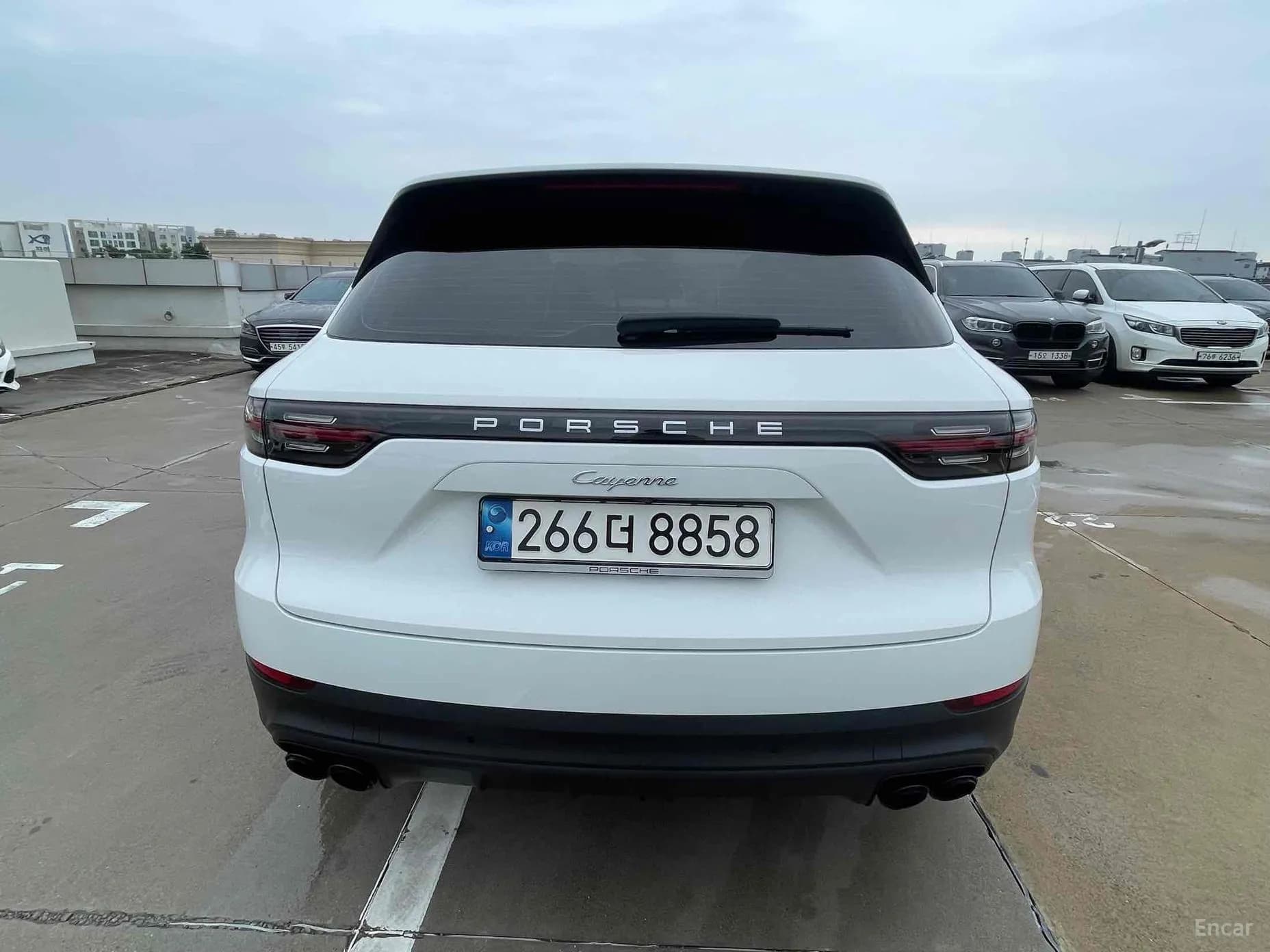 Cayenne (PO536)