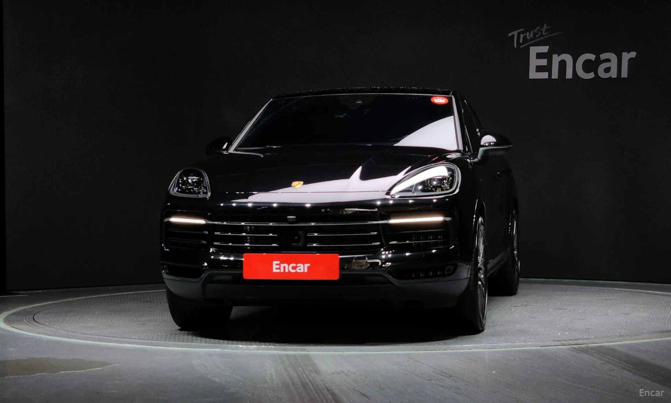 Cayenne (PO536)