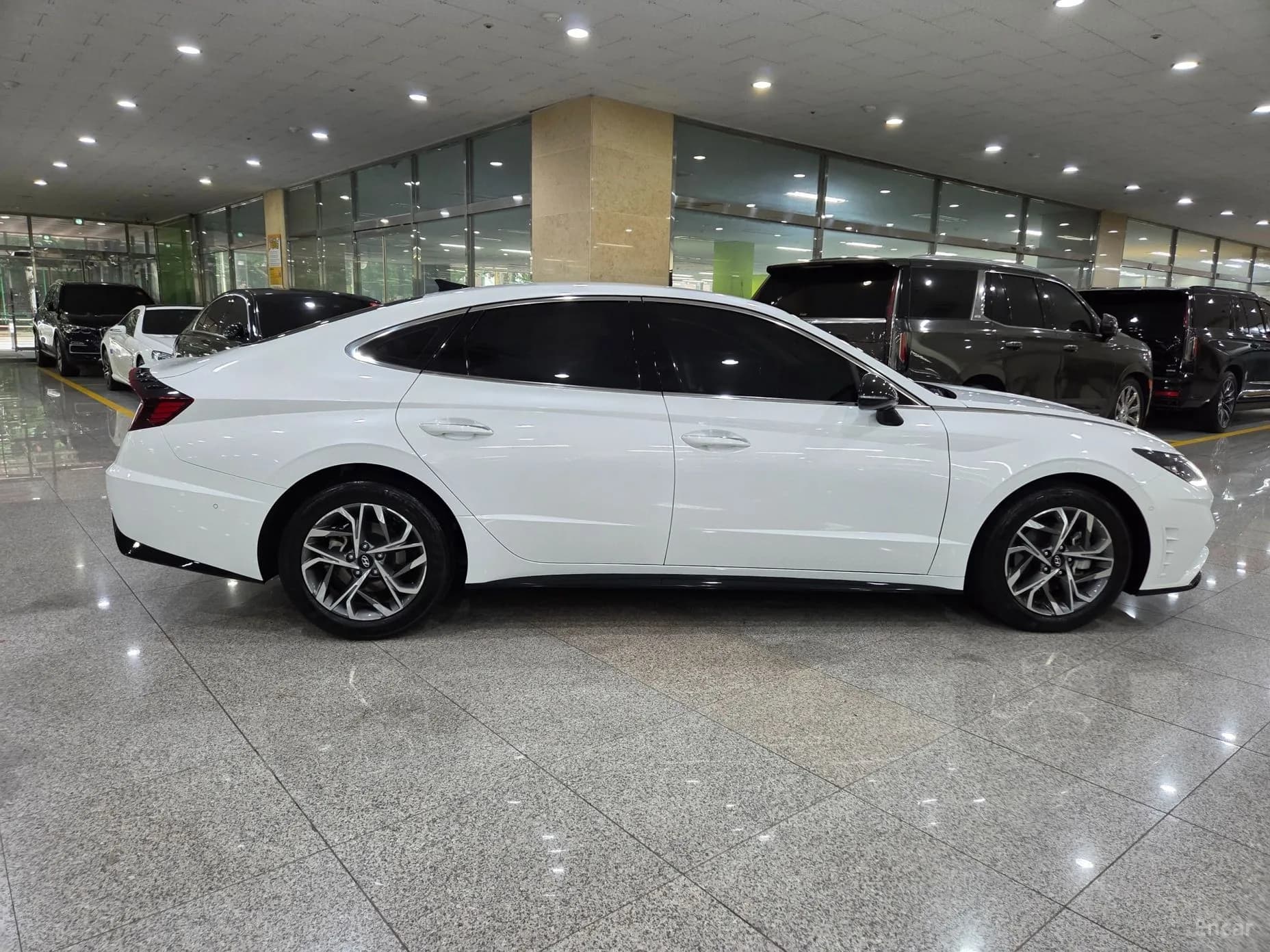 Sonata (DN8)