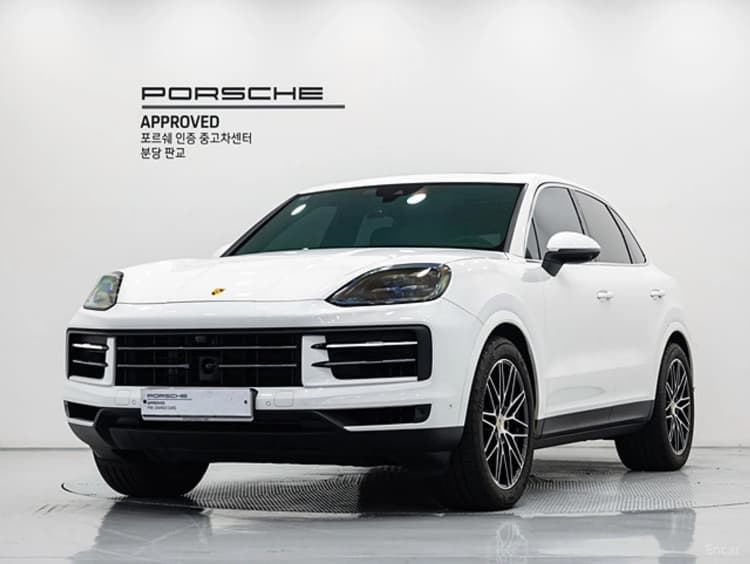 Cayenne (PO536)