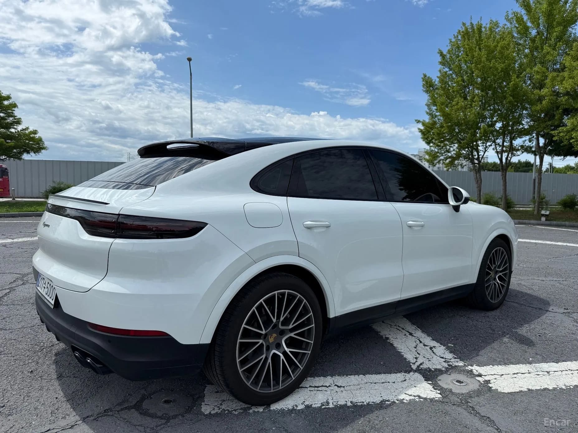 Cayenne (PO536)