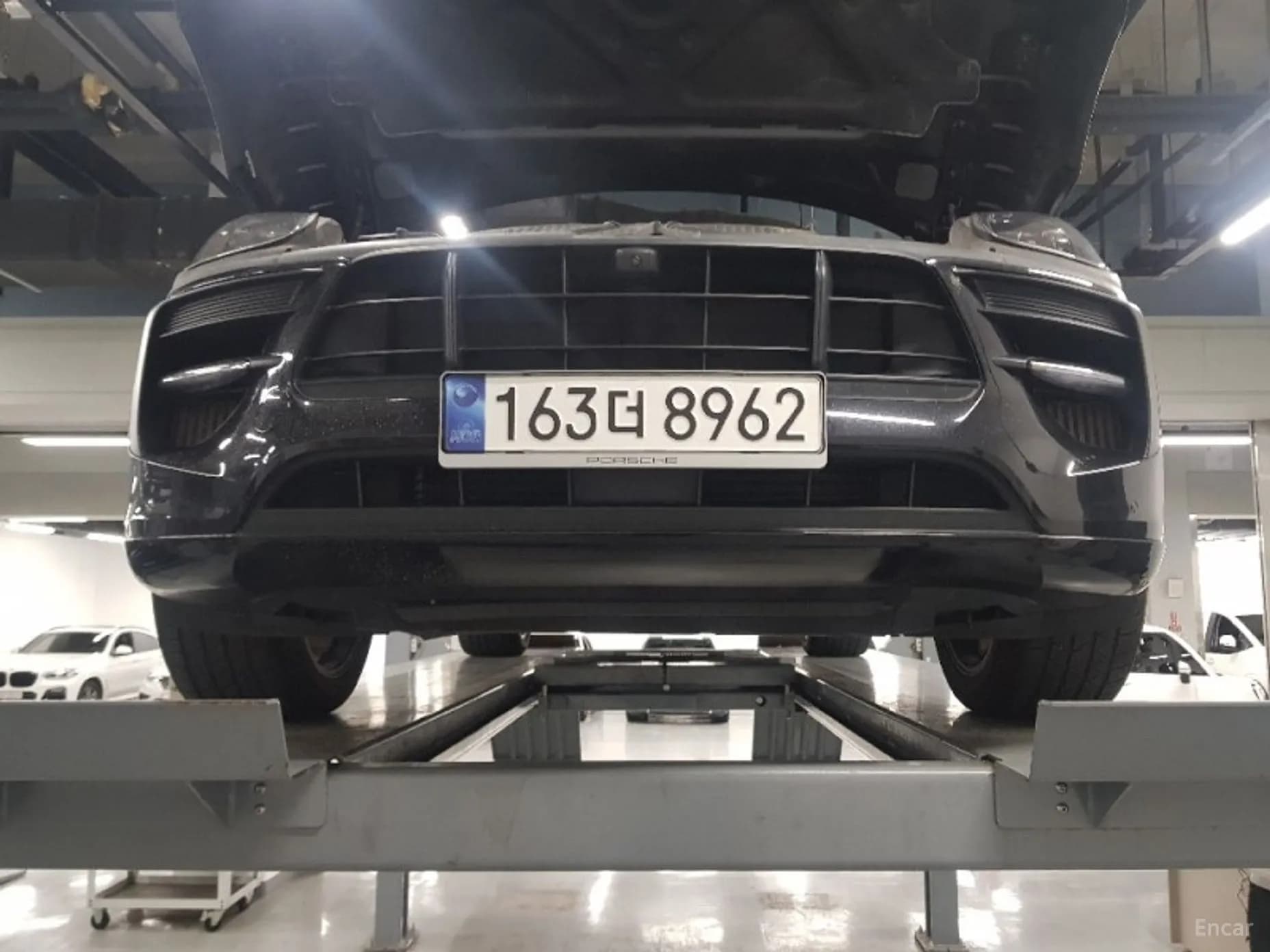 Macan