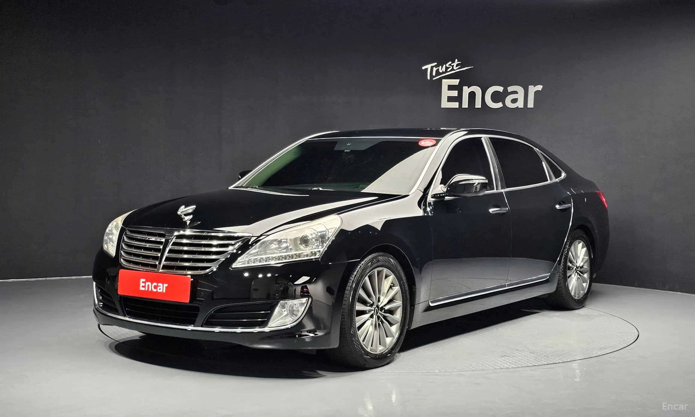 Equus (new)