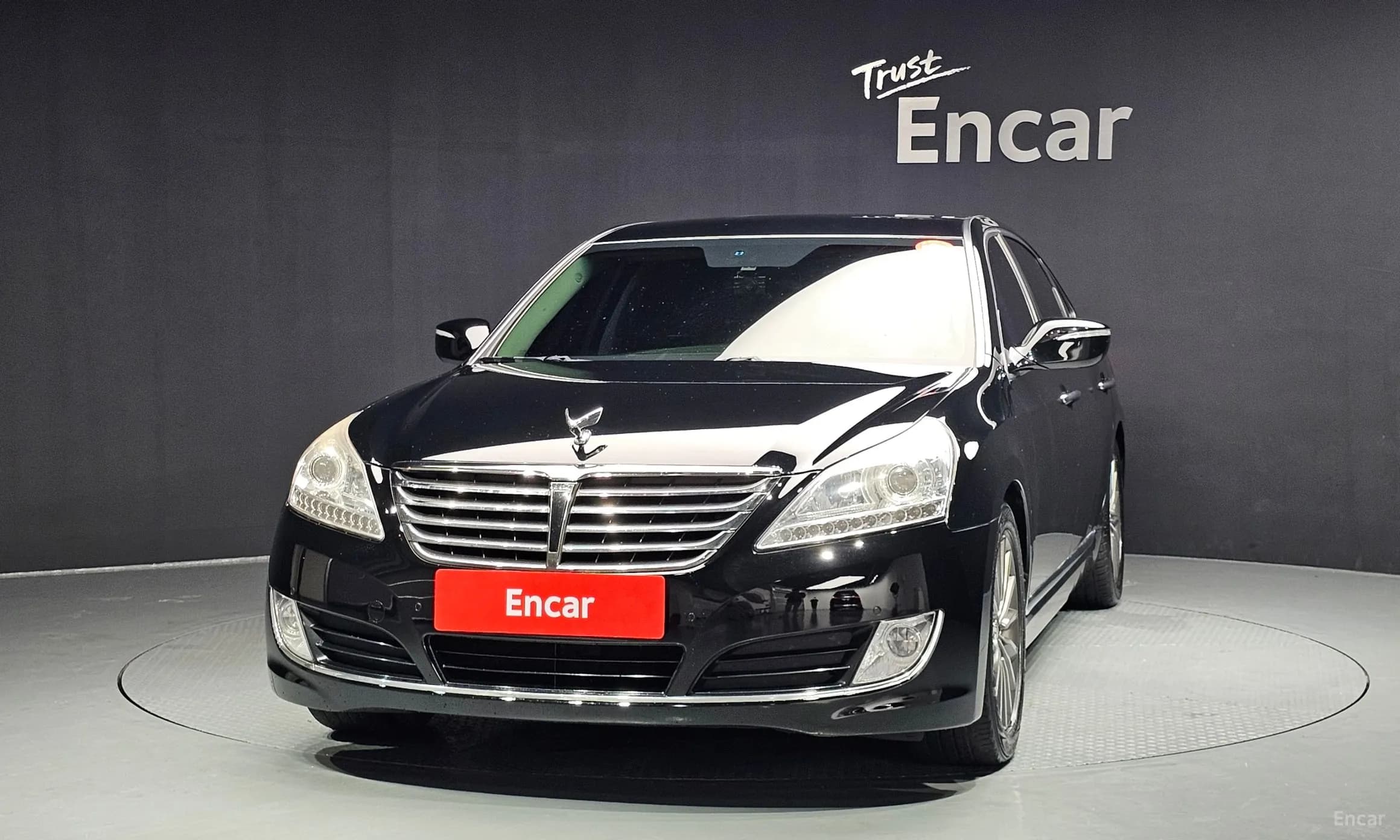 Equus (new)
