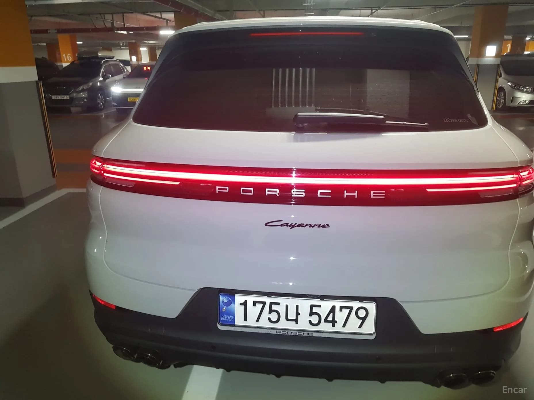 Cayenne (PO536)
