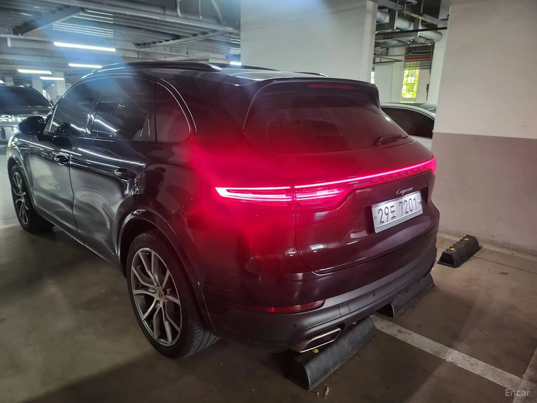 Cayenne (PO536)