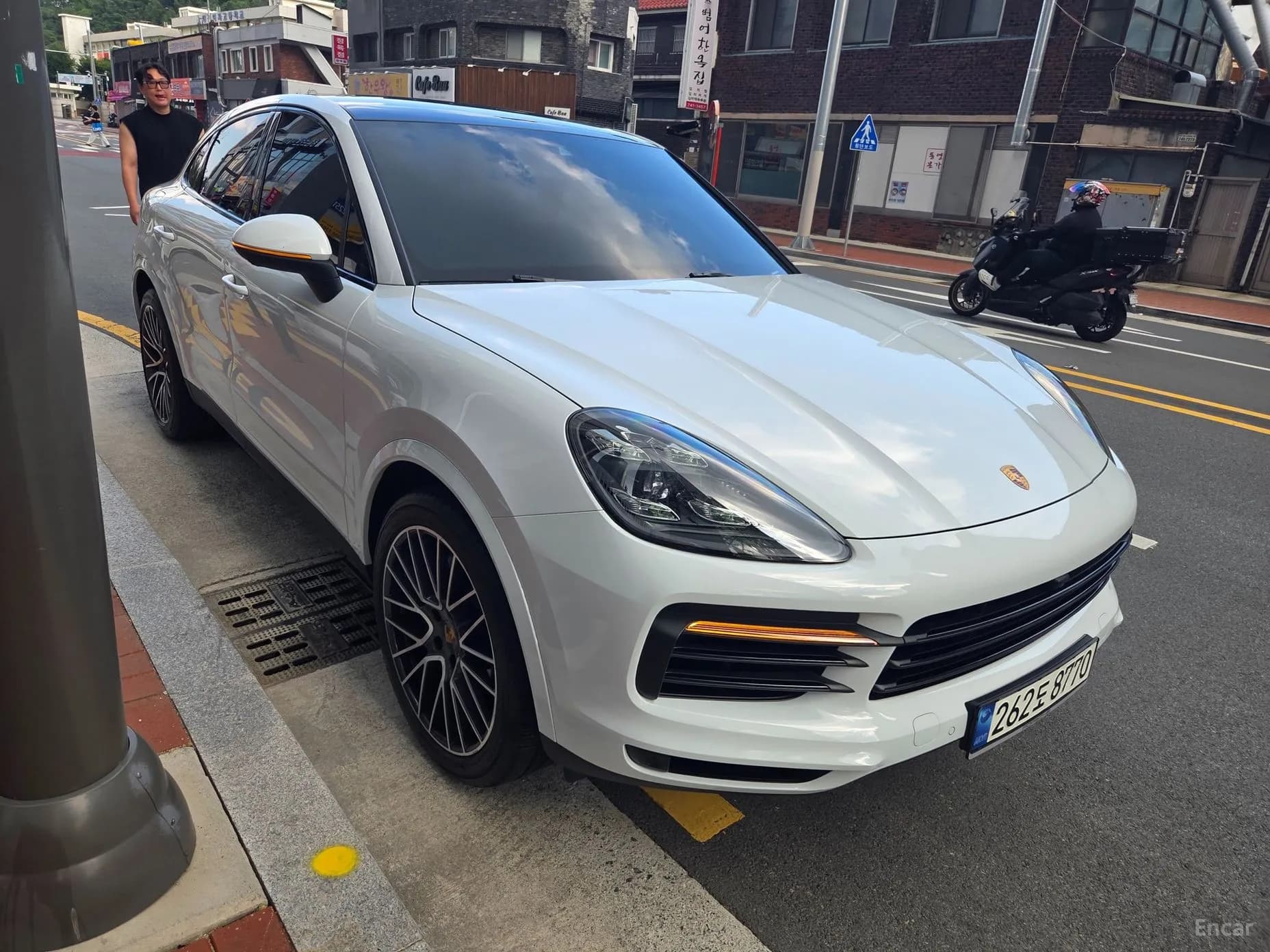 Cayenne (PO536)
