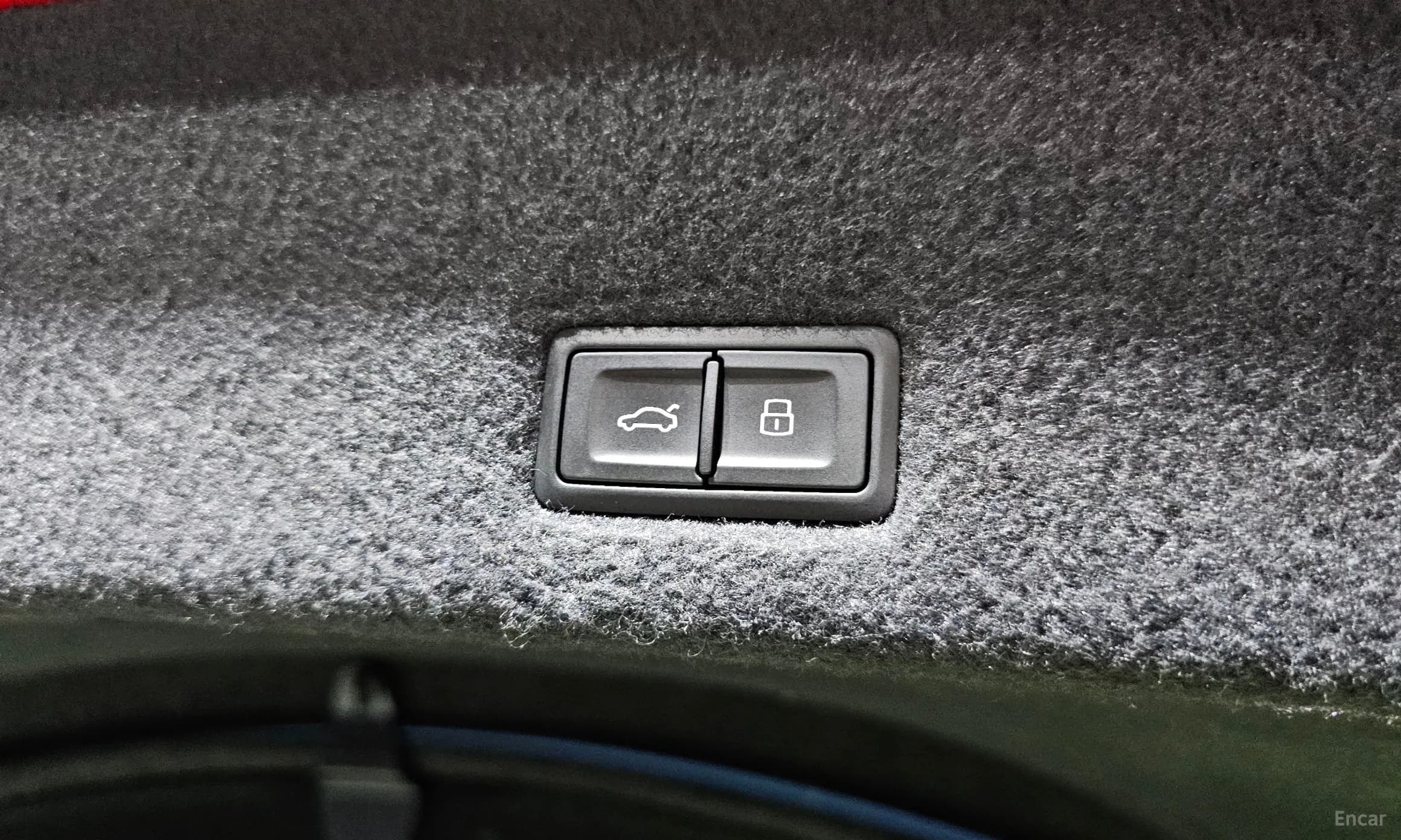 Urus