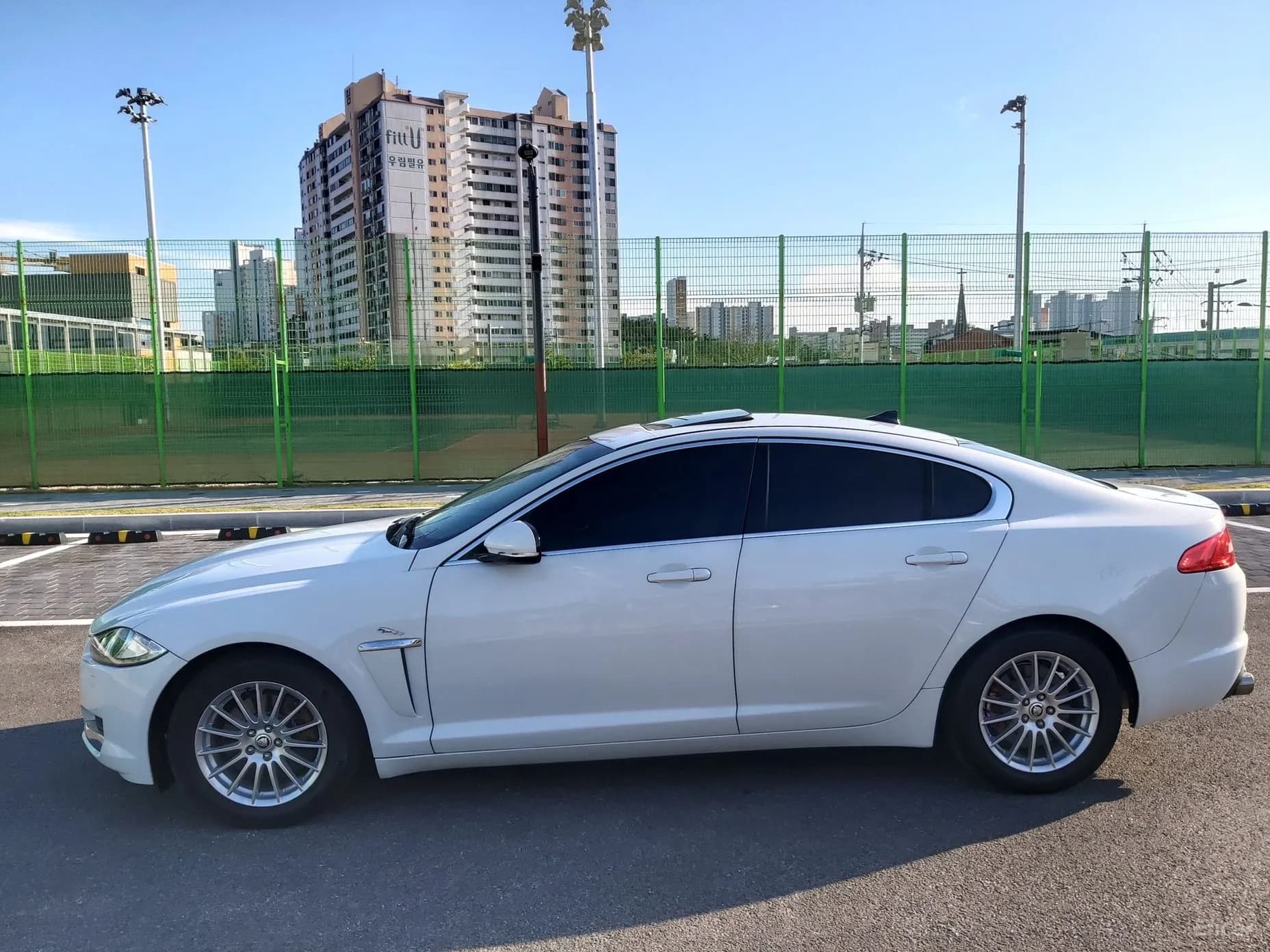 New XF