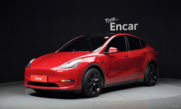 Model Y