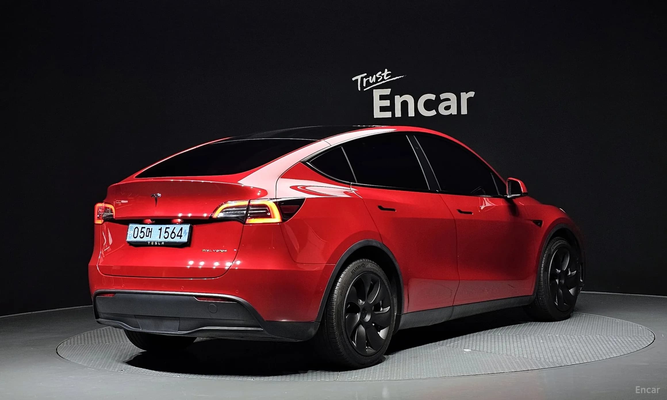 Model Y
