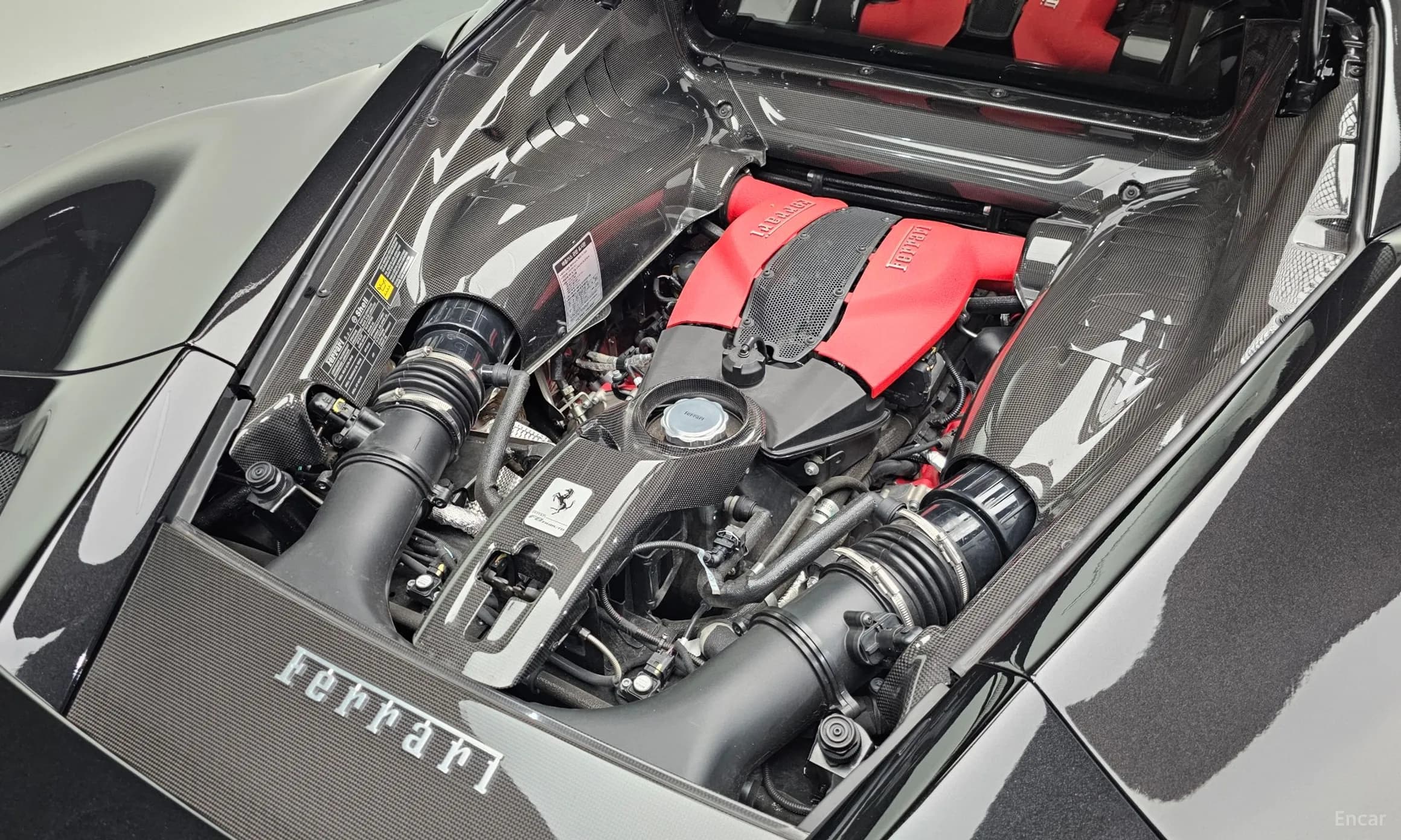 F8 Tributo