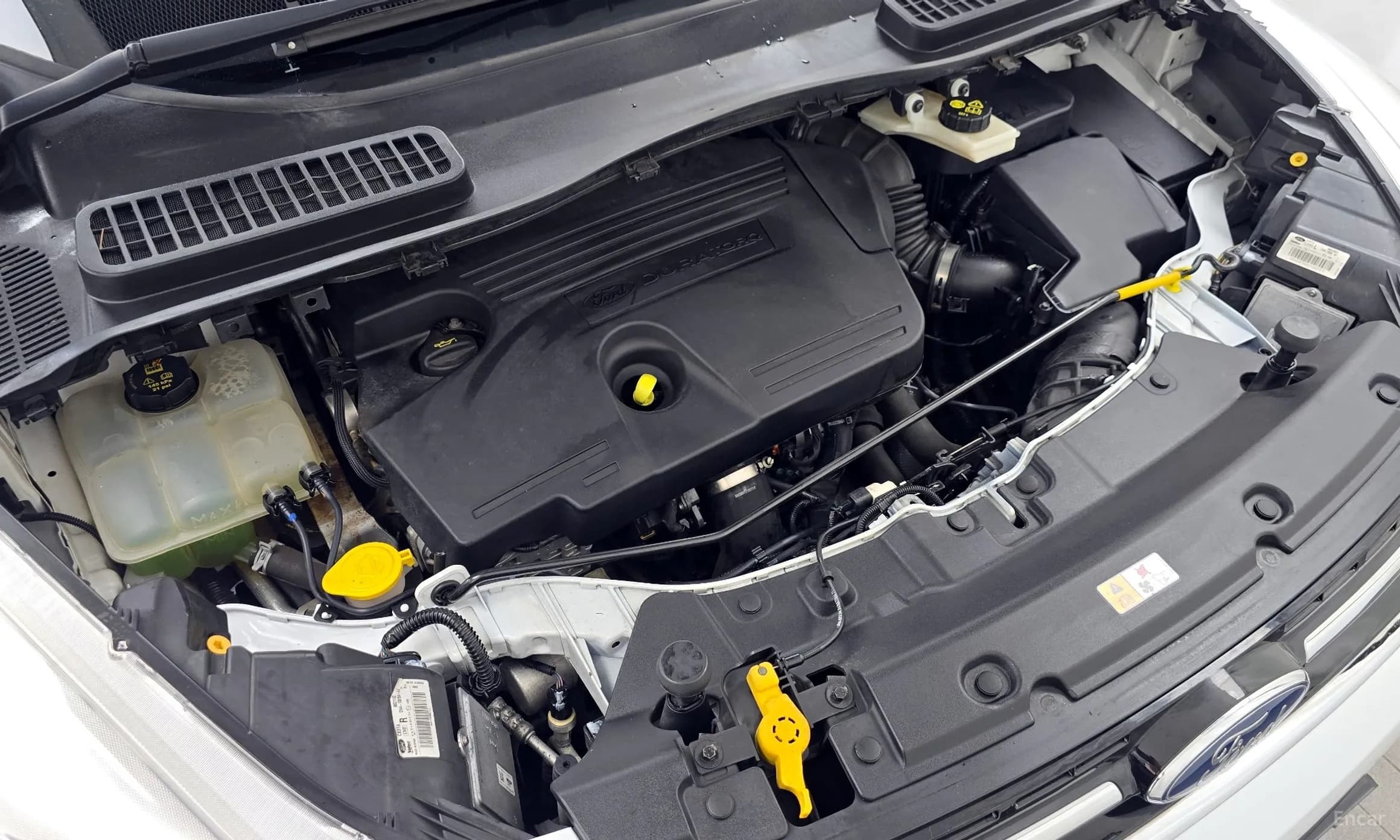 Cougar 2nd Generation
