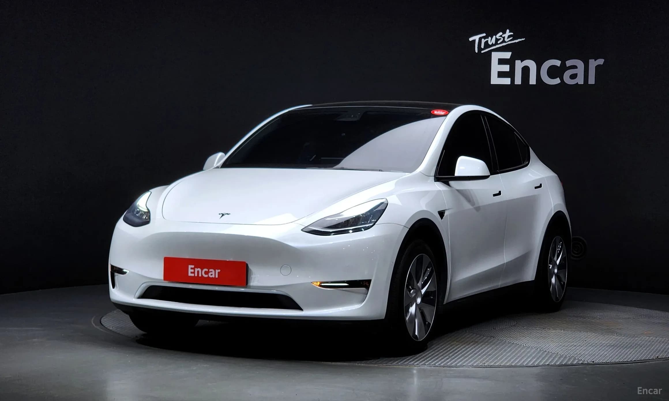 Model Y