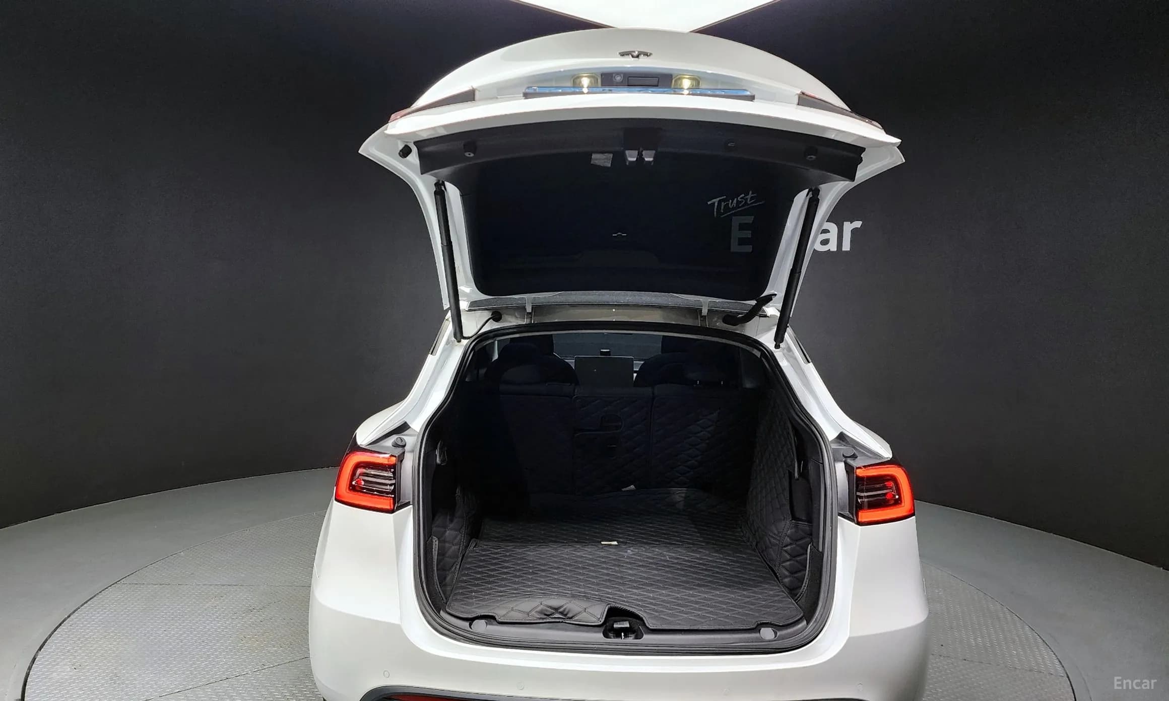 Model Y