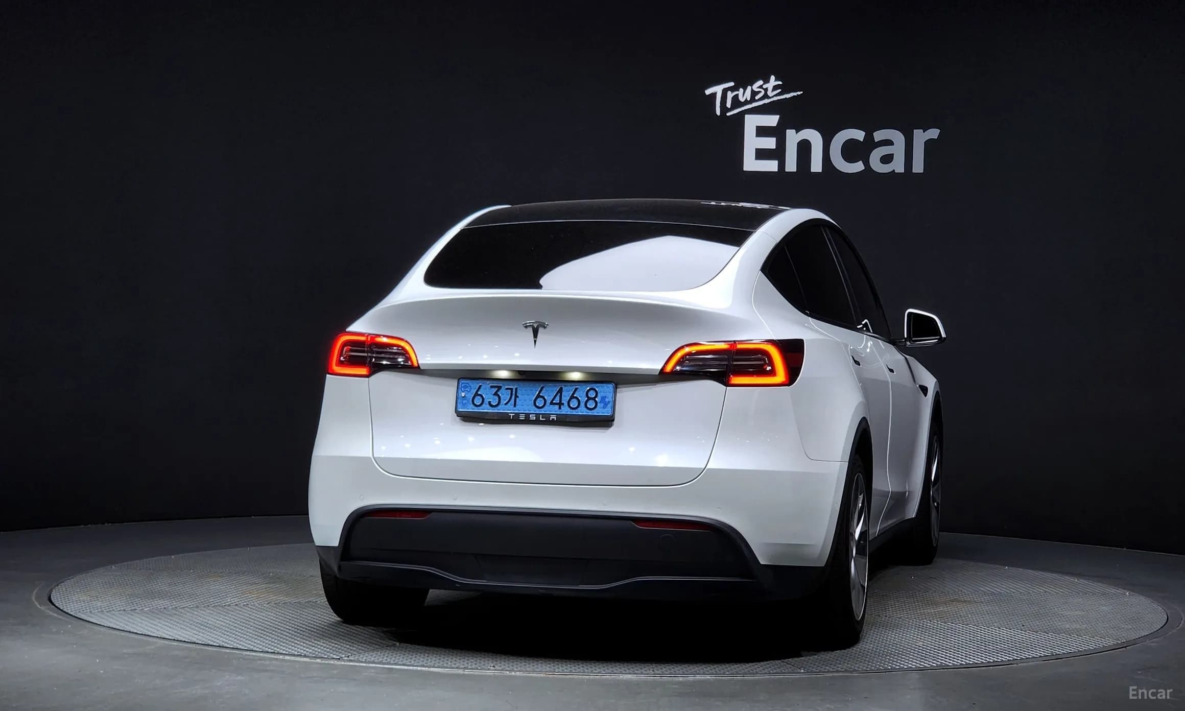 Model Y