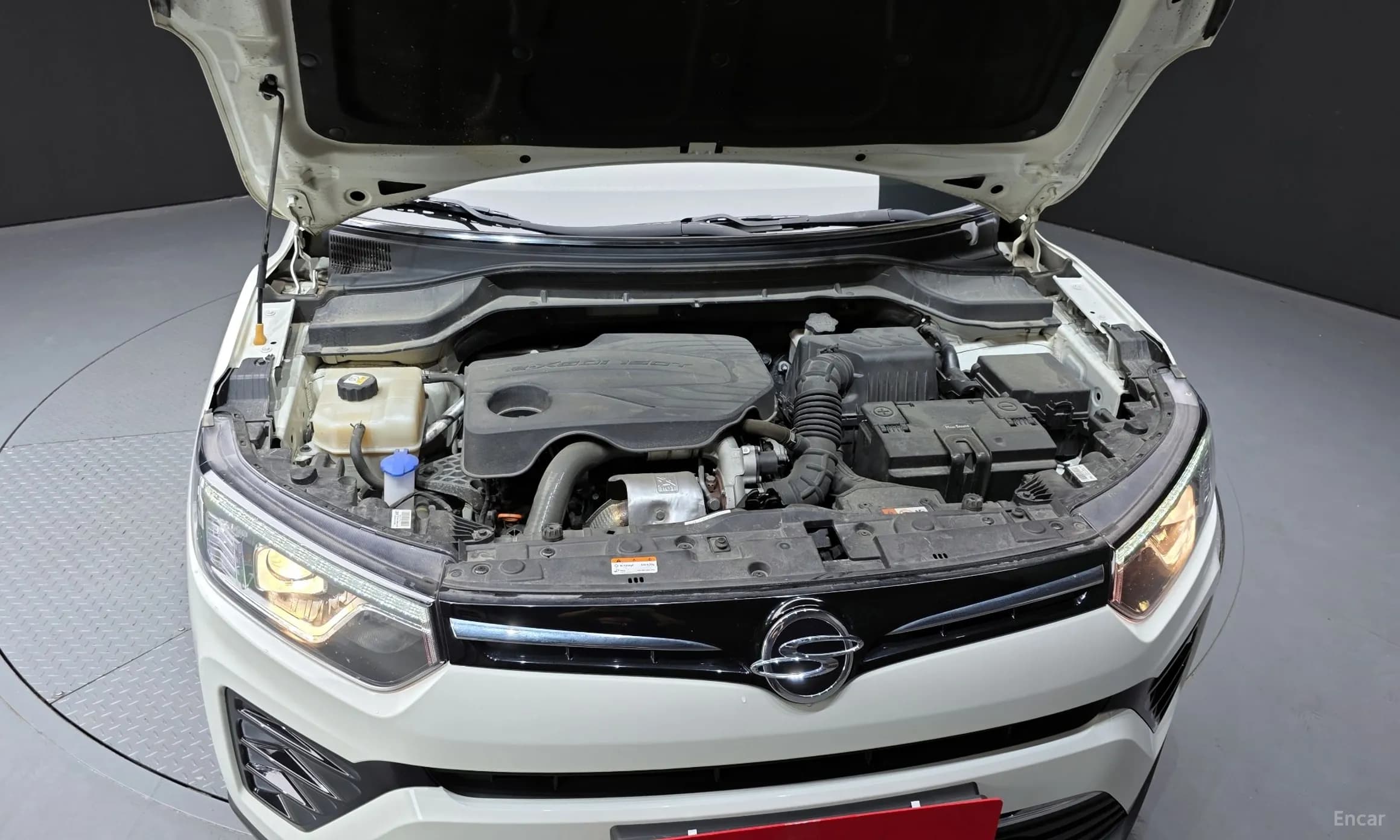 Berry New Tivoli