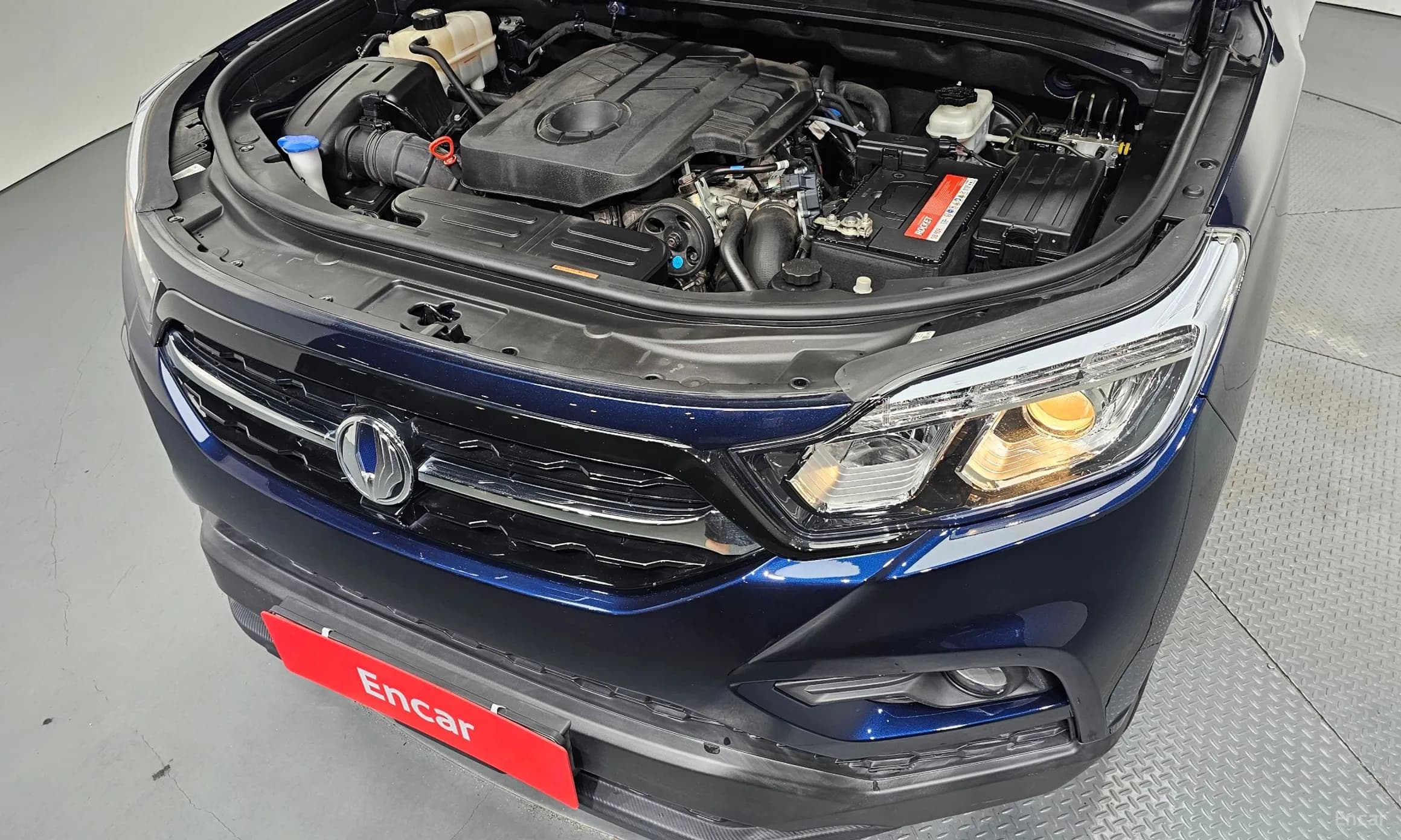 Rexton Sports