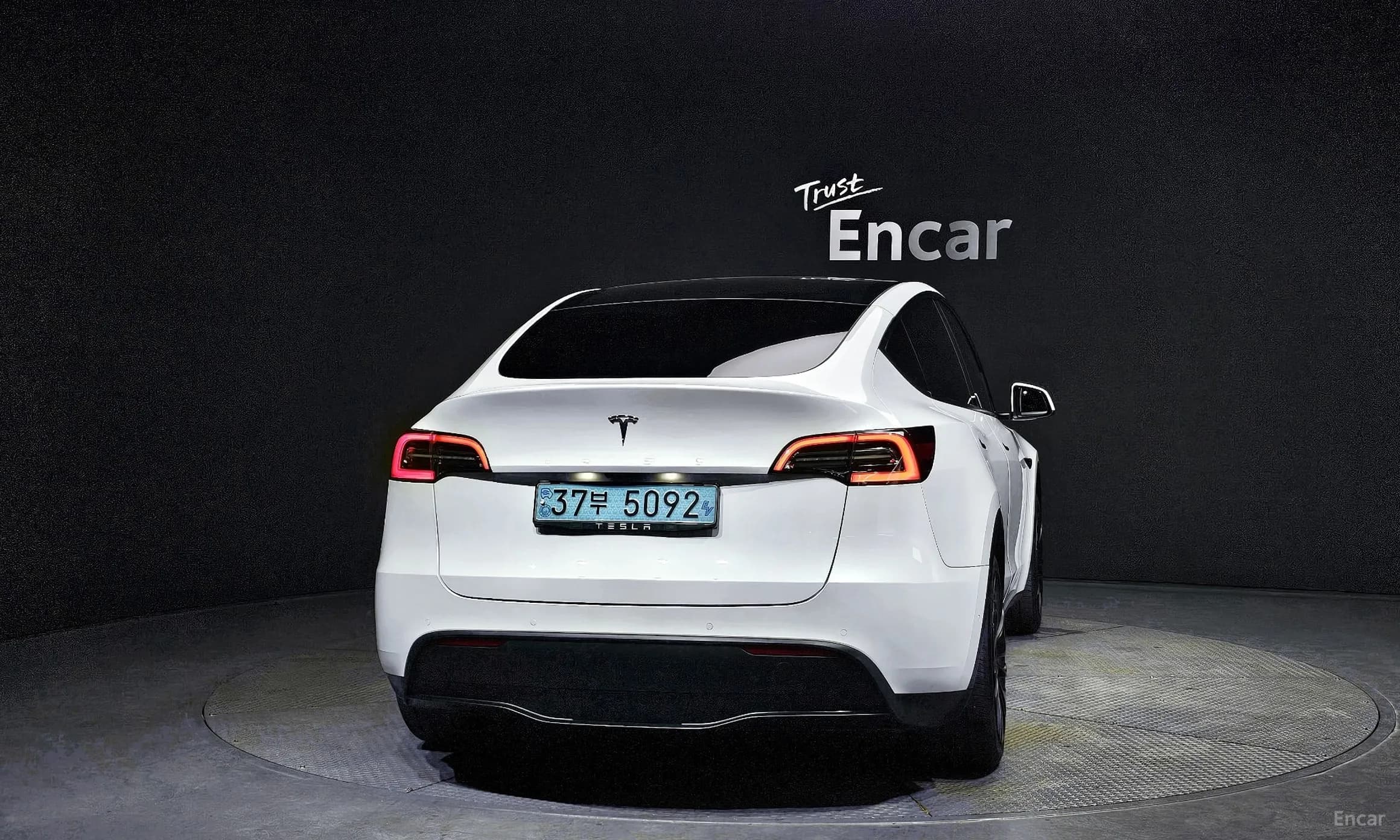 Model Y