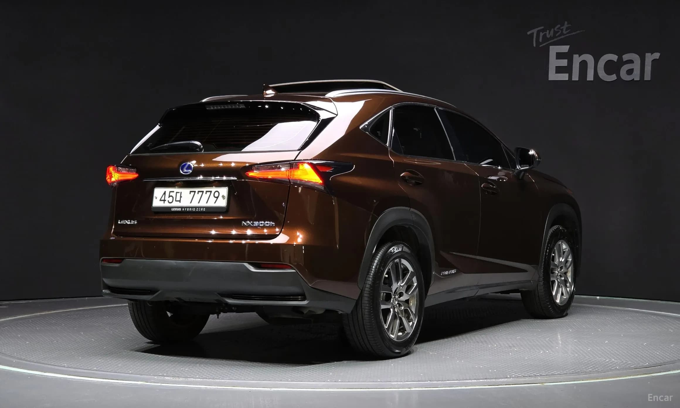 NX300h
