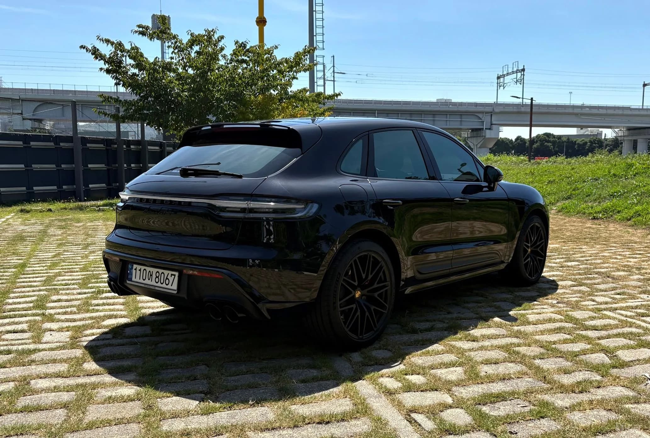 Macan