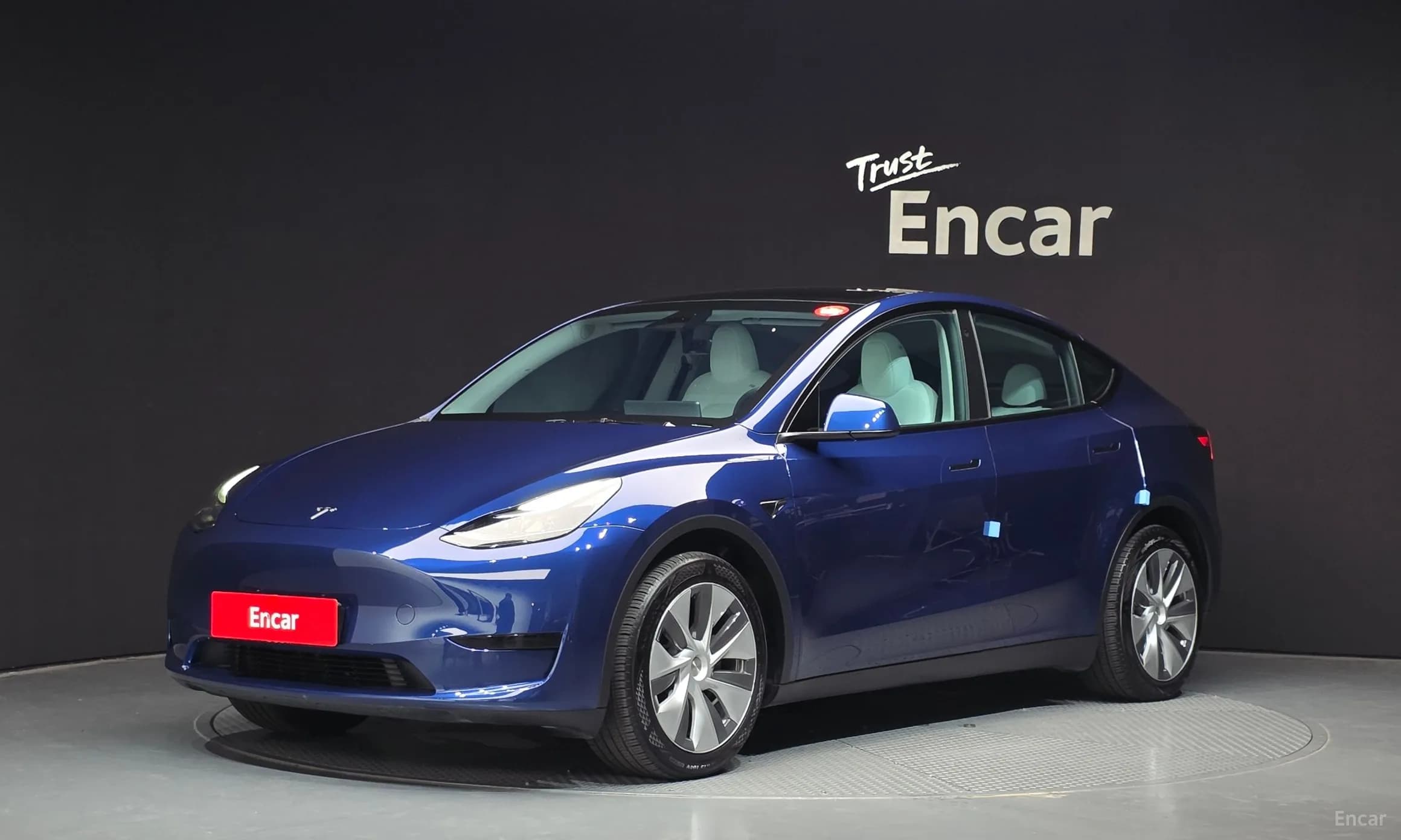 Model Y