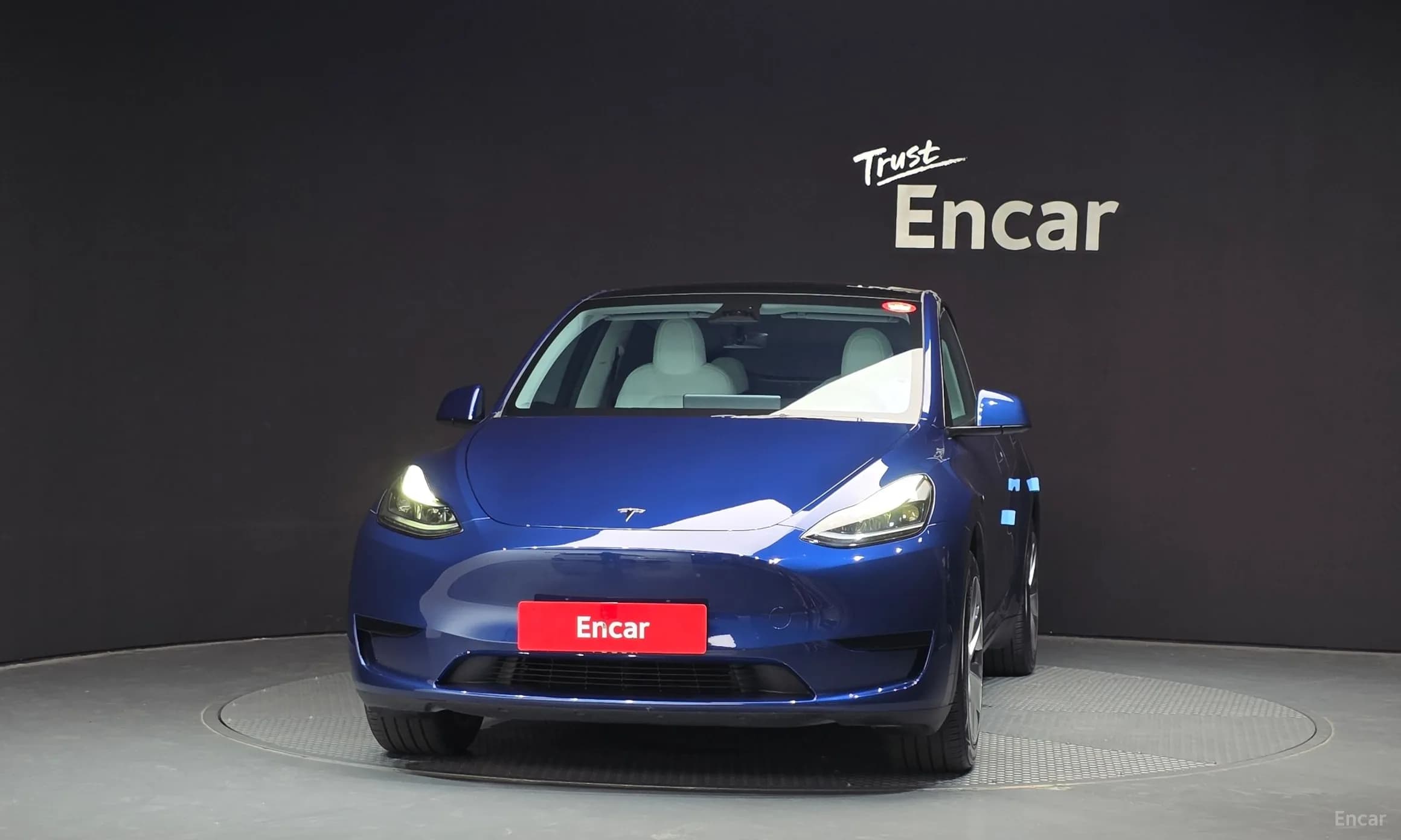 Model Y