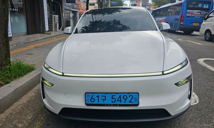 Model Y
