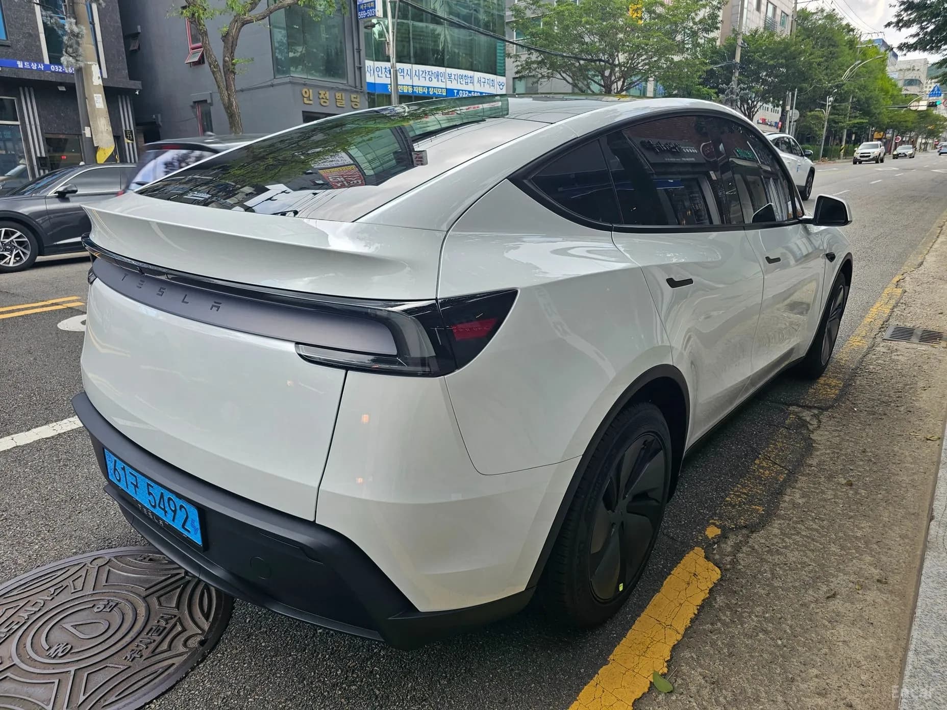 Model Y