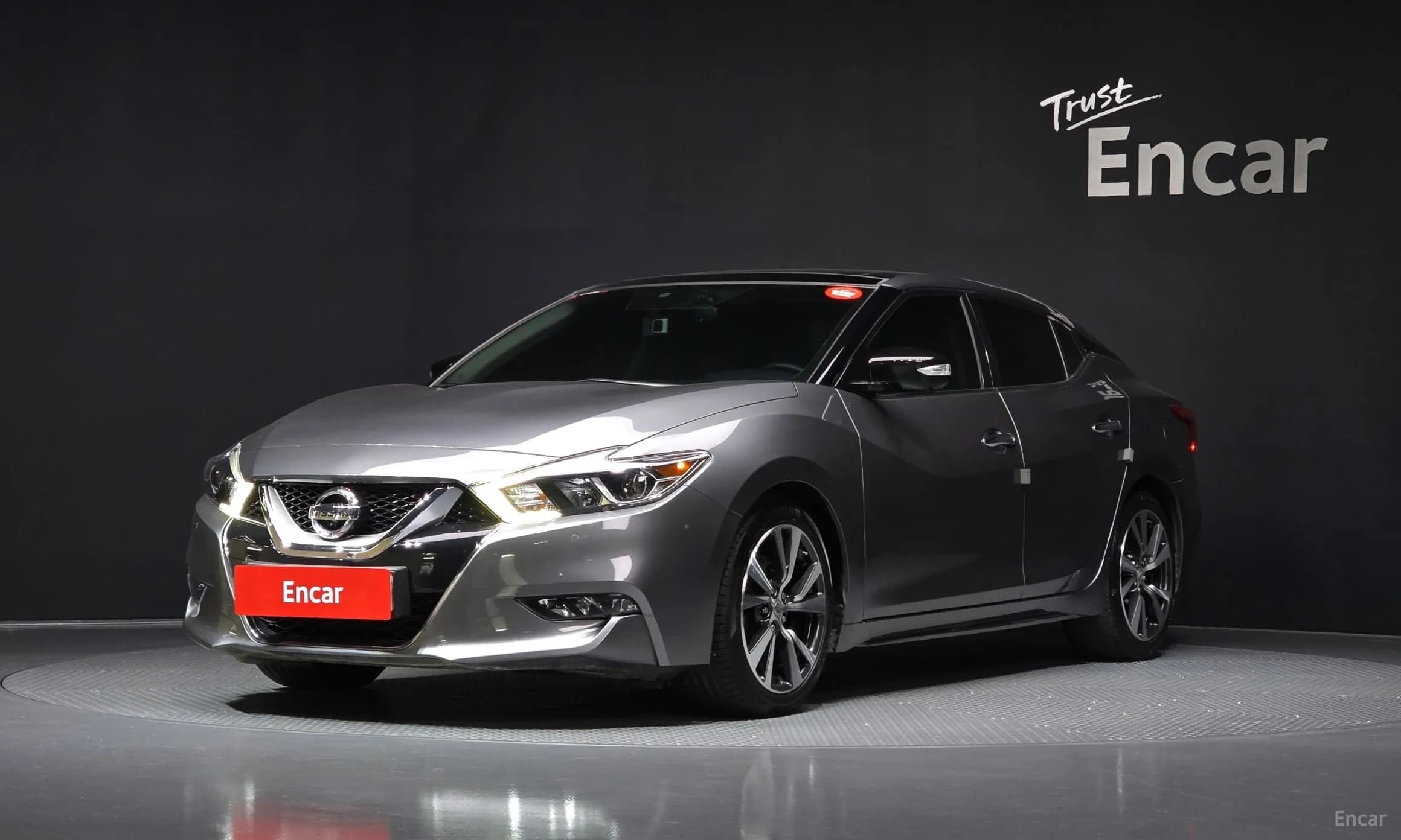 Maxima (A36)