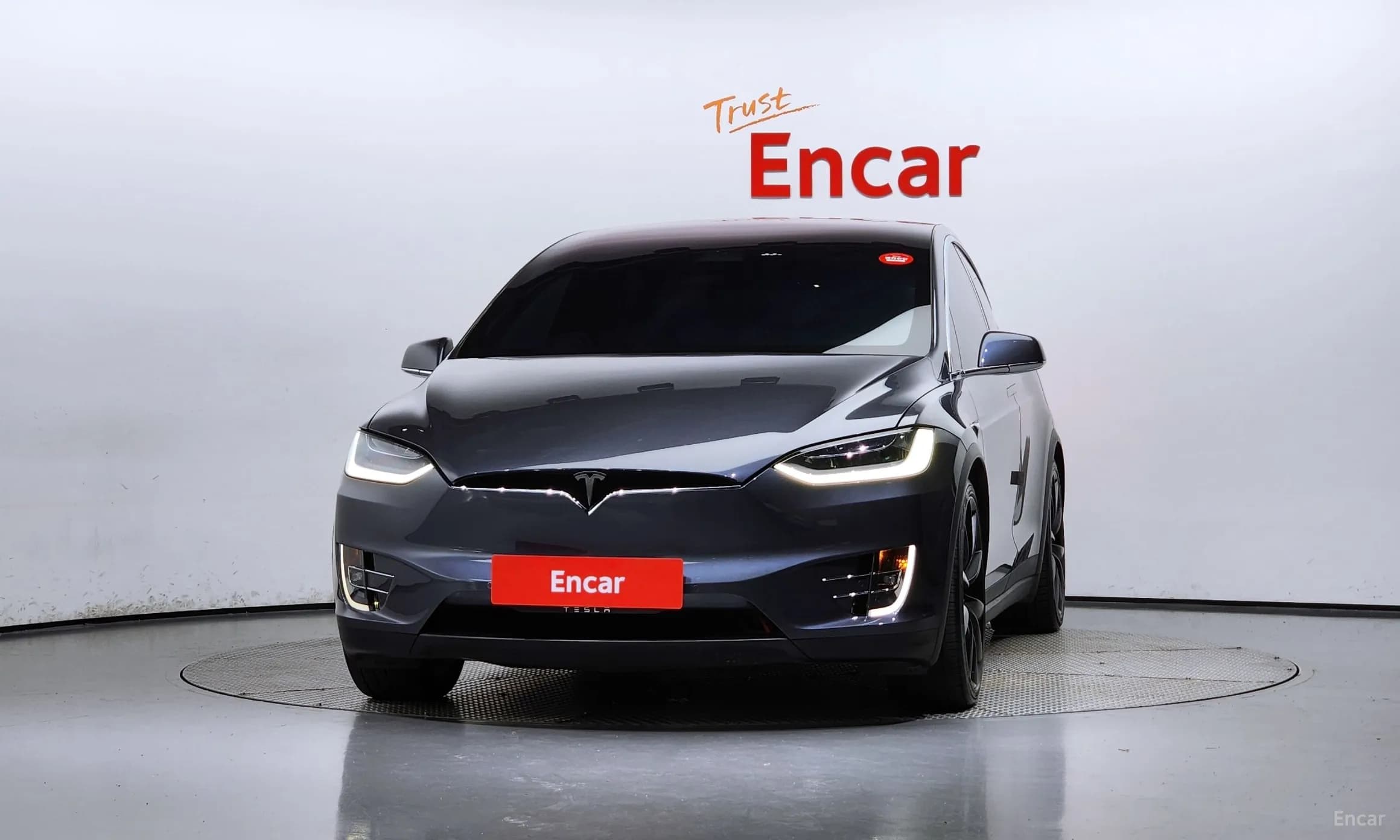 Model X