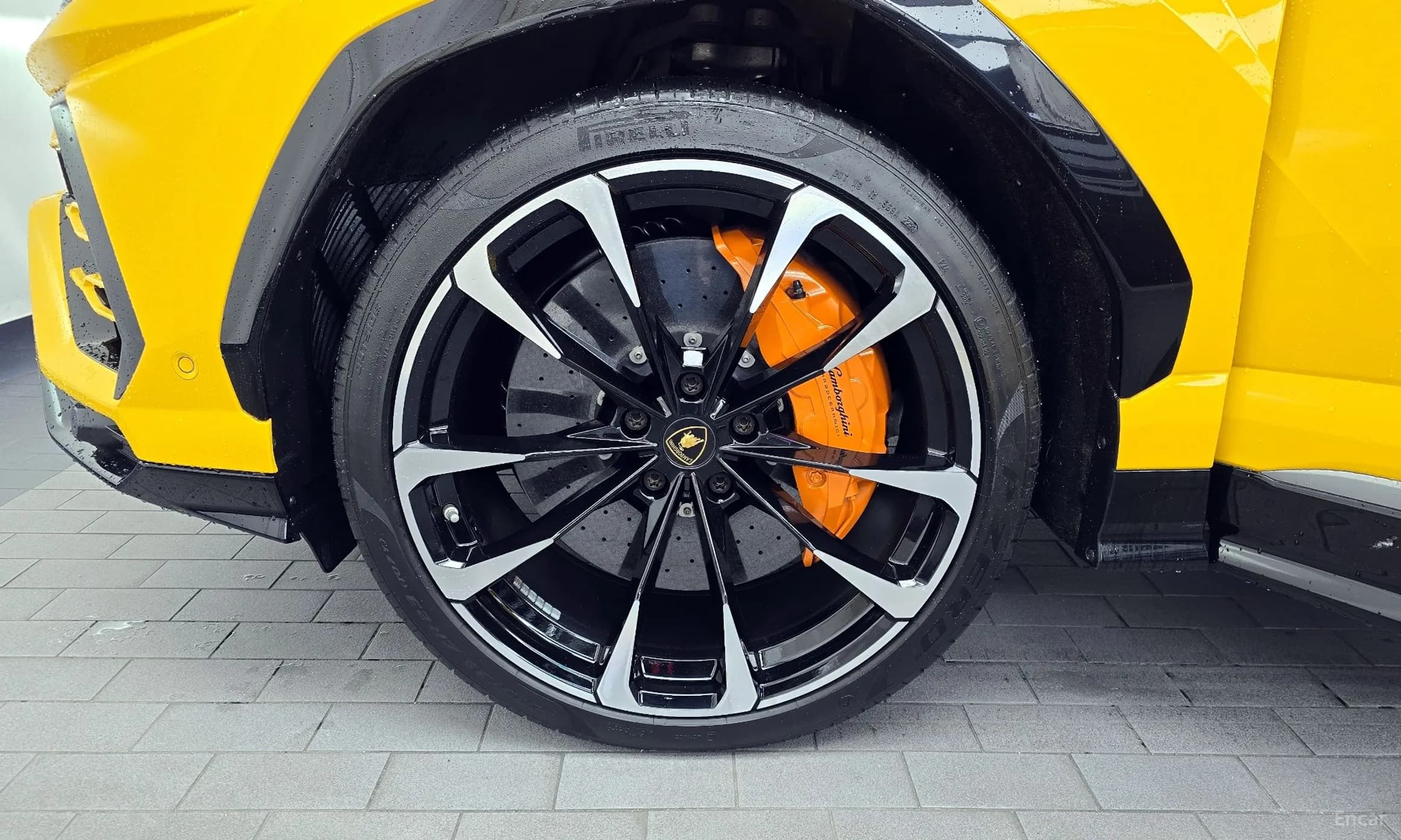 Urus