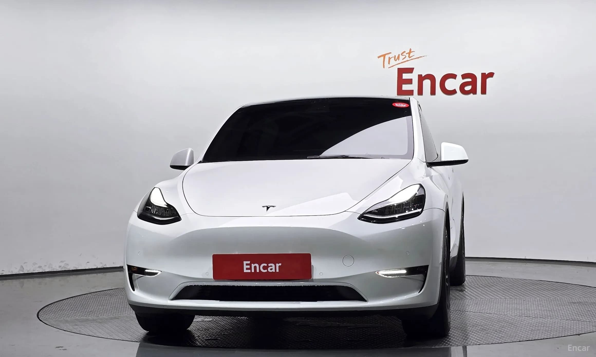 Model Y